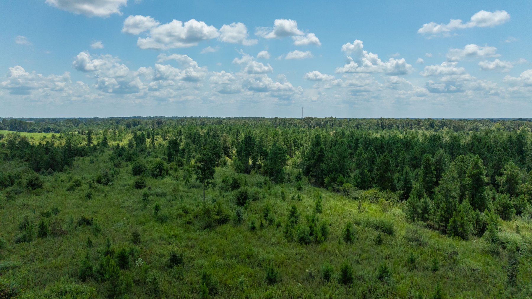 Image for 516.20 +/- Acres – The Chambliss Place  (4) - Prime Terrell County Recreational Tracts - Row Crop Cultivation Potential
