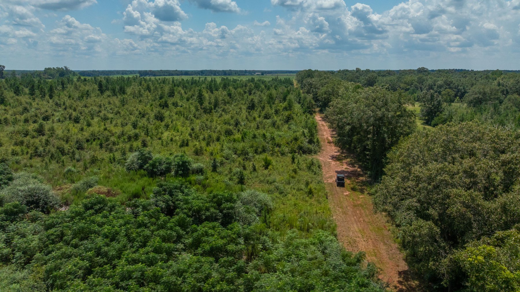 Image for 516.20 +/- Acres – The Chambliss Place  (4) - Prime Terrell County Recreational Tracts - Row Crop Cultivation Potential