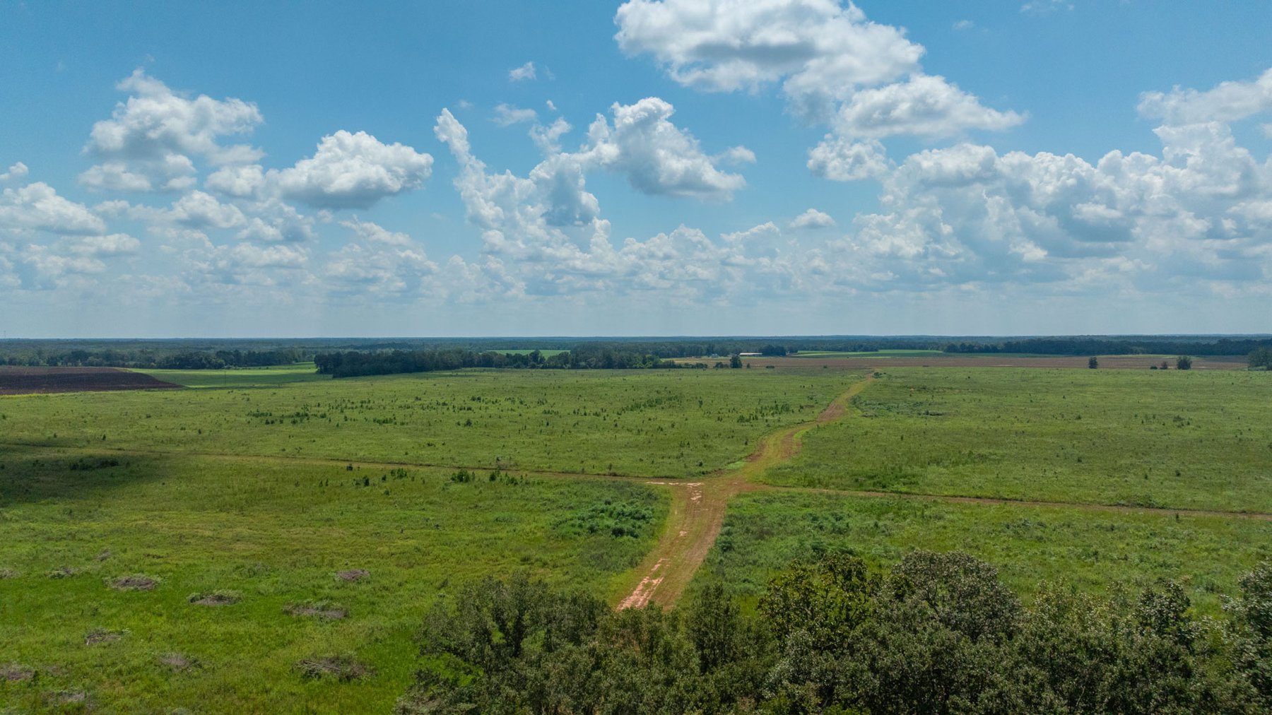 Image for 516.20 +/- Acres – The Chambliss Place  (4) - Prime Terrell County Recreational Tracts - Row Crop Cultivation Potential