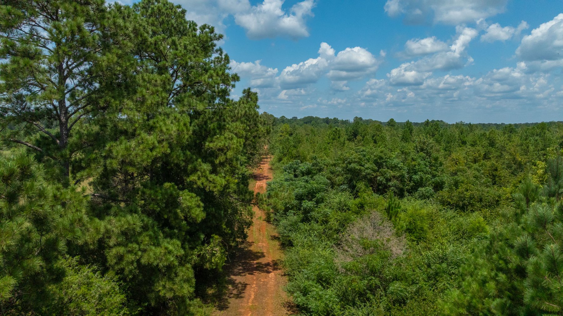 Image for 516.20 +/- Acres – The Chambliss Place  (4) - Prime Terrell County Recreational Tracts - Row Crop Cultivation Potential