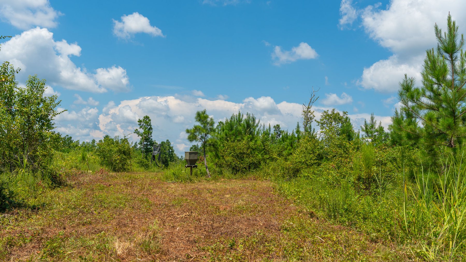 Image for 516.20 +/- Acres – The Chambliss Place  (4) - Prime Terrell County Recreational Tracts - Row Crop Cultivation Potential