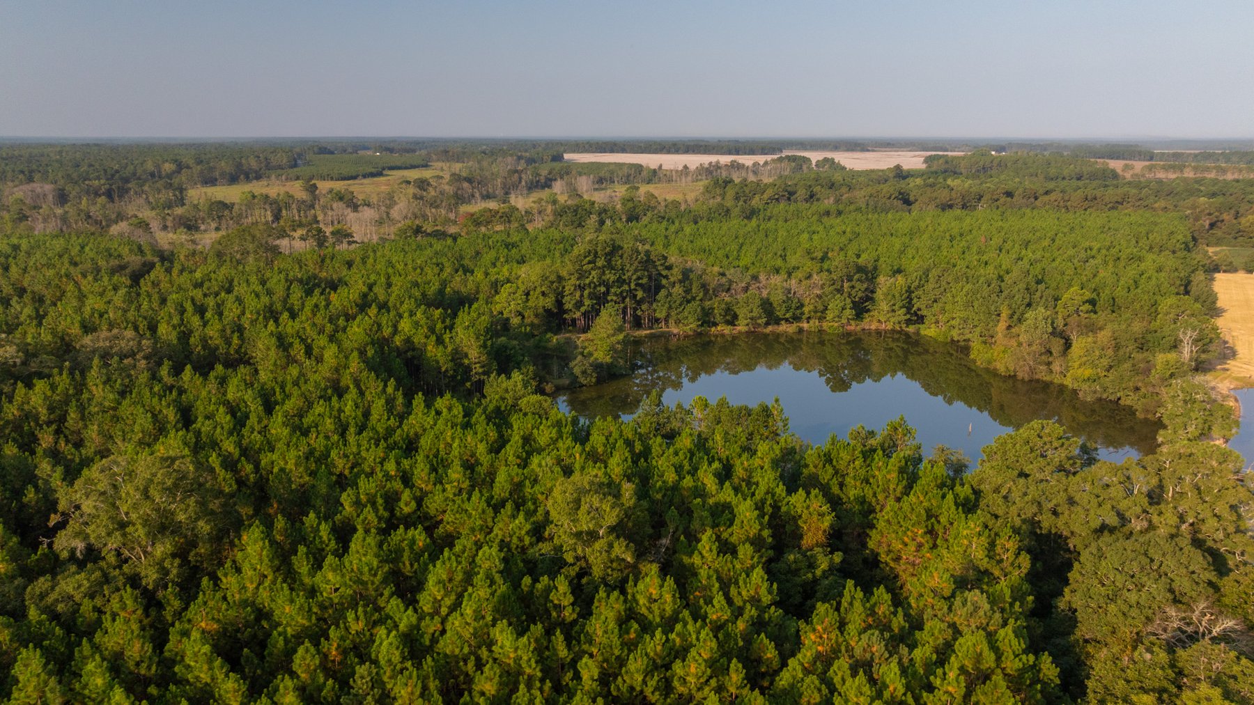 Image for 52± Acres - The Bridge Creek Farm - Stocked Pond, Pines, & Trophy Game - Offered Divided & as a Whole