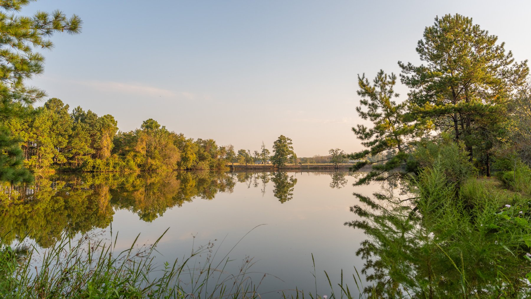 Image for 52± Acres - The Bridge Creek Farm - Stocked Pond, Pines, & Trophy Game - Offered Divided & as a Whole