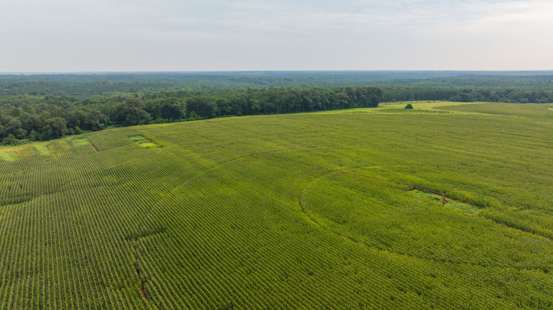 Image for Perryman Place - 305+/- Total Acres - Premium Row Crop Farm - Deep Well & 7 Irrigation Pivots