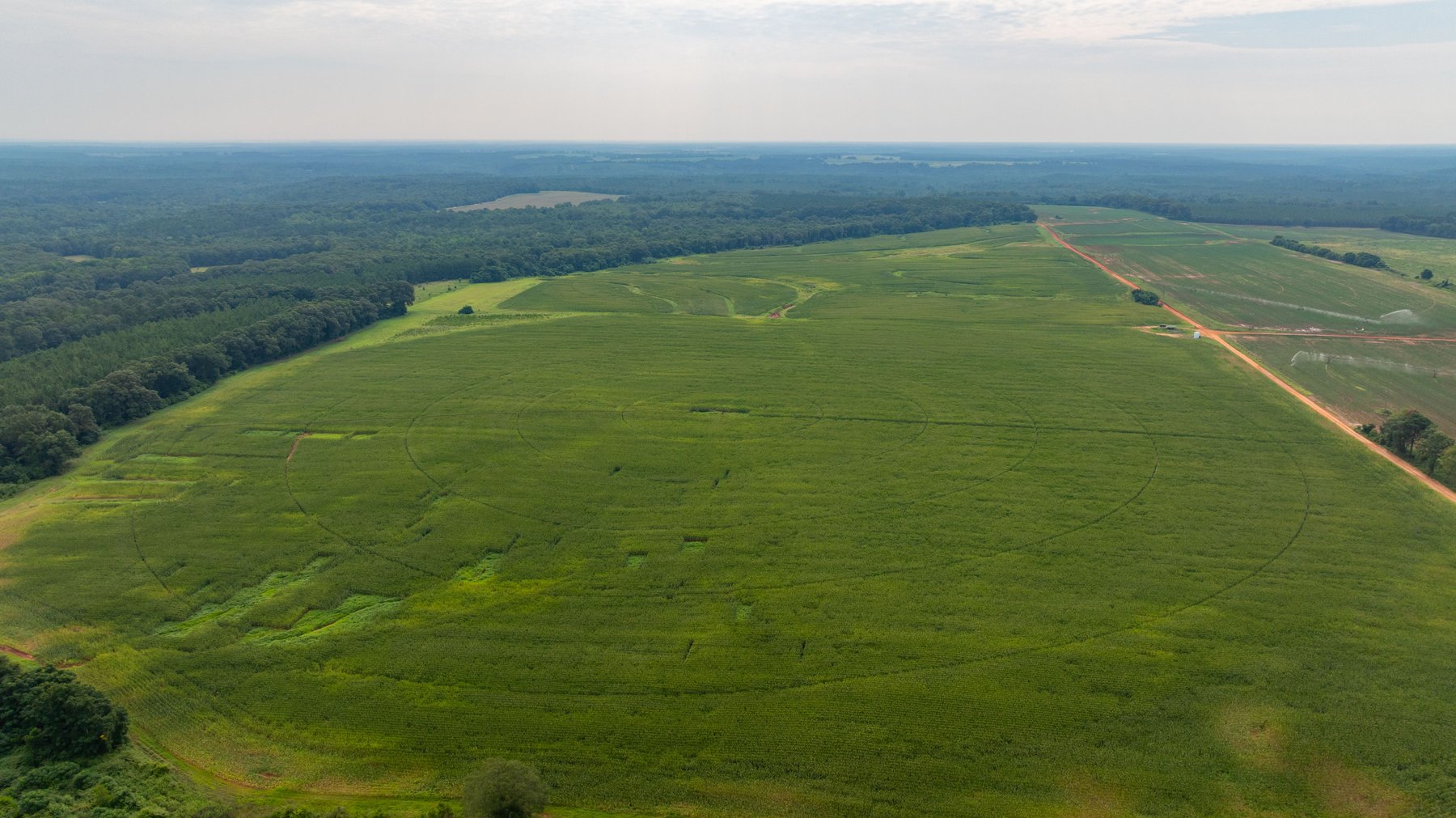 Image for Perryman Place - 305+/- Total Acres - Premium Row Crop Farm - Deep Well & 7 Irrigation Pivots