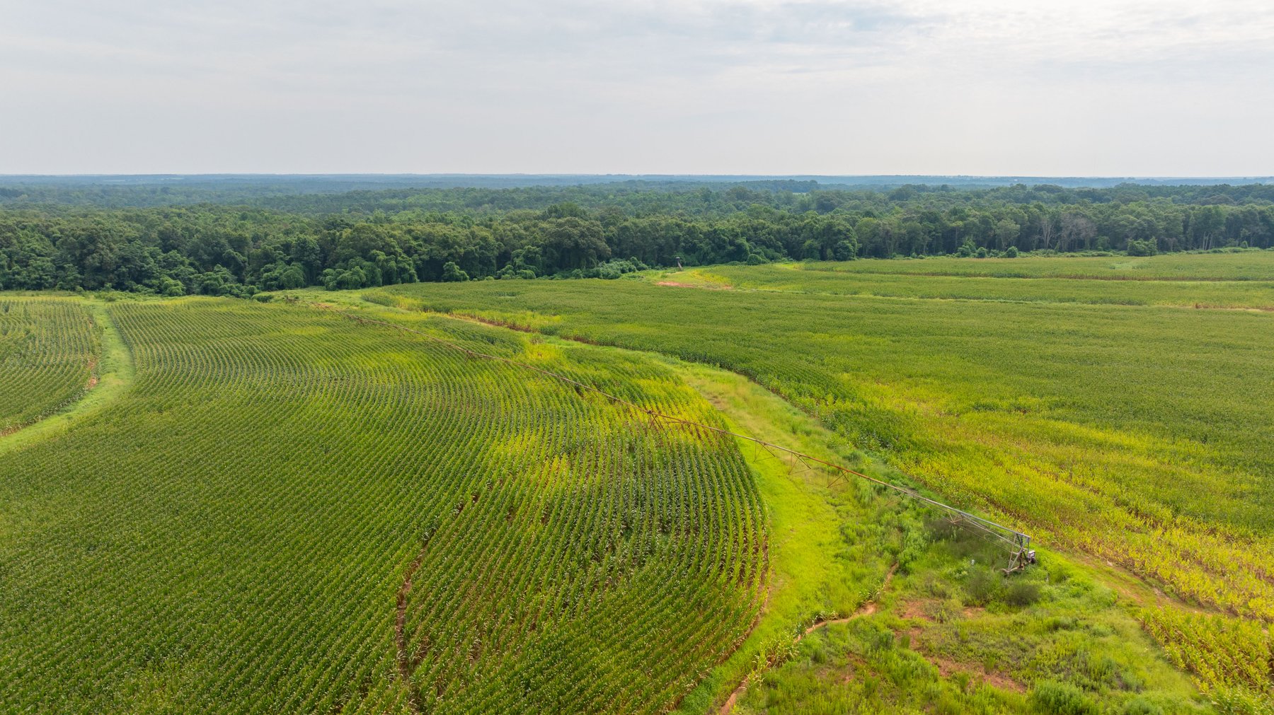 Image for Perryman Place - 305+/- Total Acres - Premium Row Crop Farm - Deep Well & 7 Irrigation Pivots