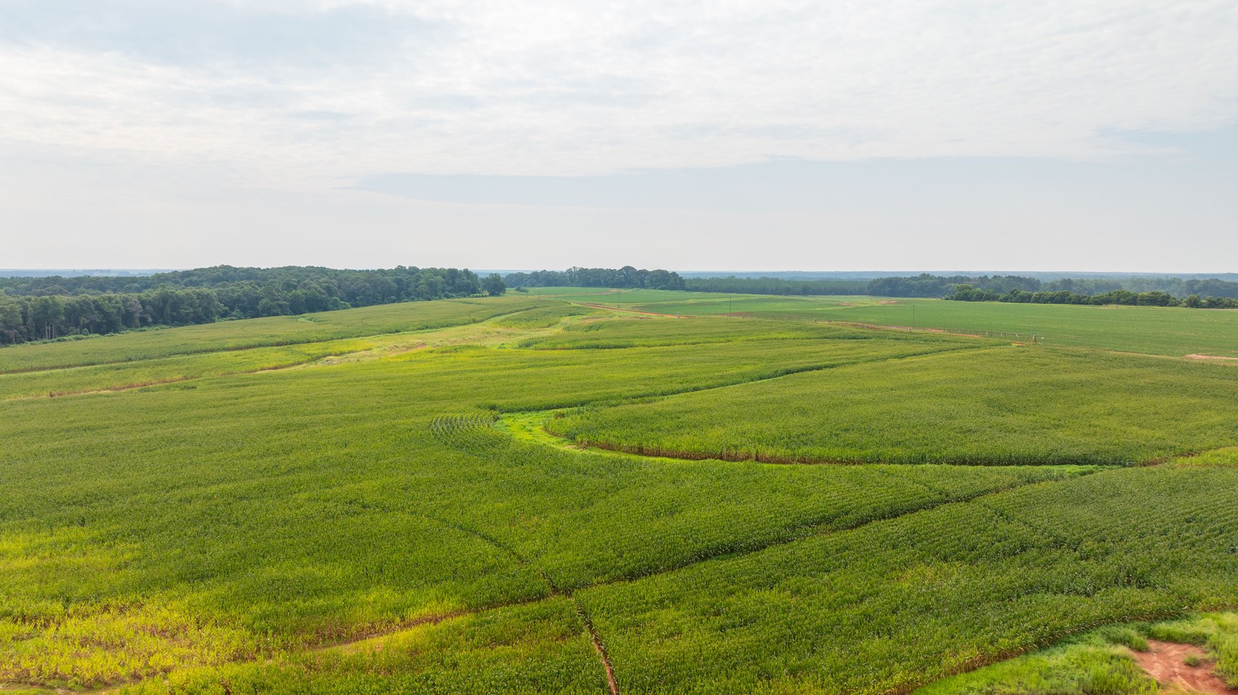 Image for Perryman Place - 305+/- Total Acres - Premium Row Crop Farm - Deep Well & 7 Irrigation Pivots