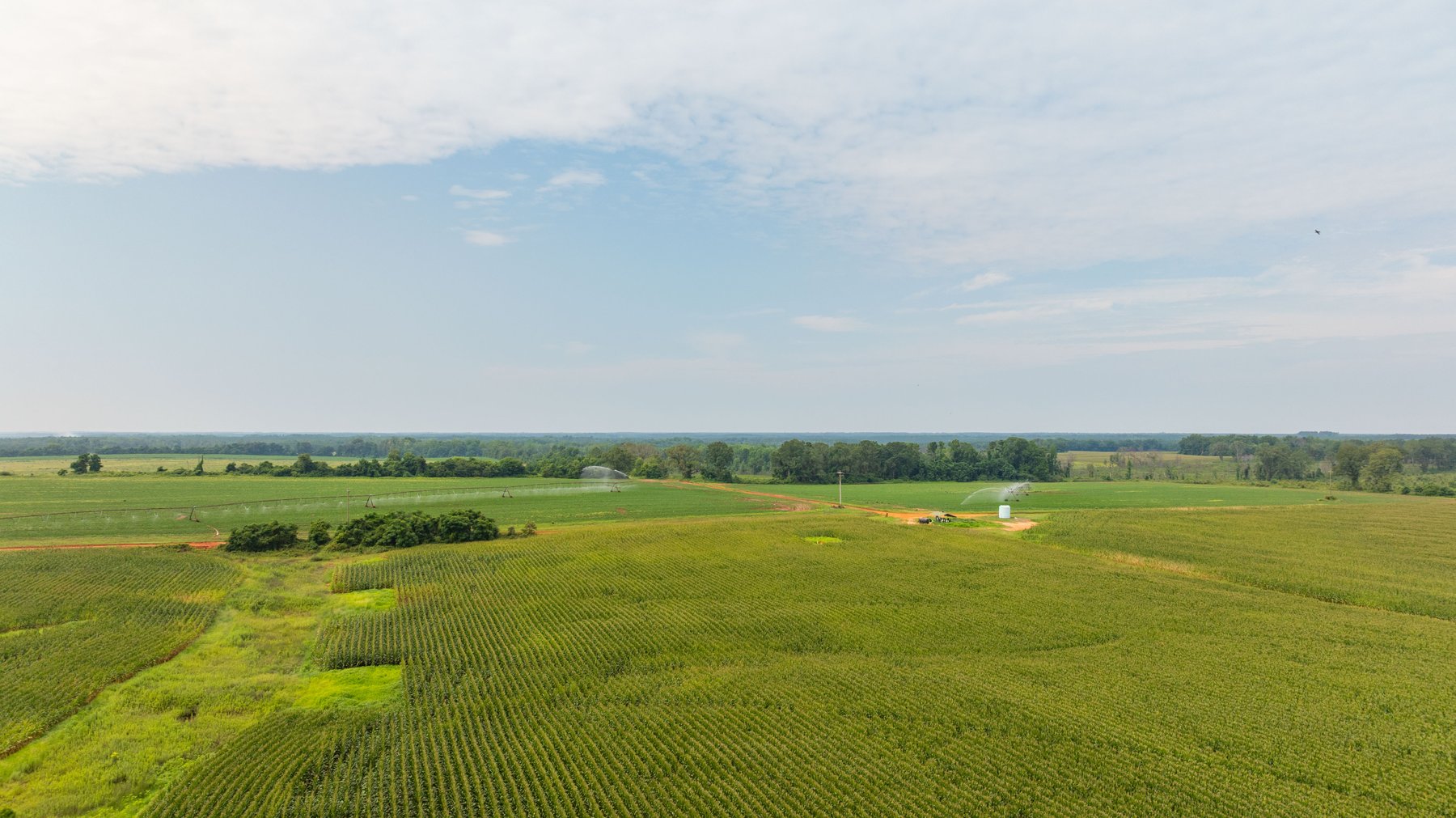 Image for Perryman Place - 305+/- Total Acres - Premium Row Crop Farm - Deep Well & 7 Irrigation Pivots