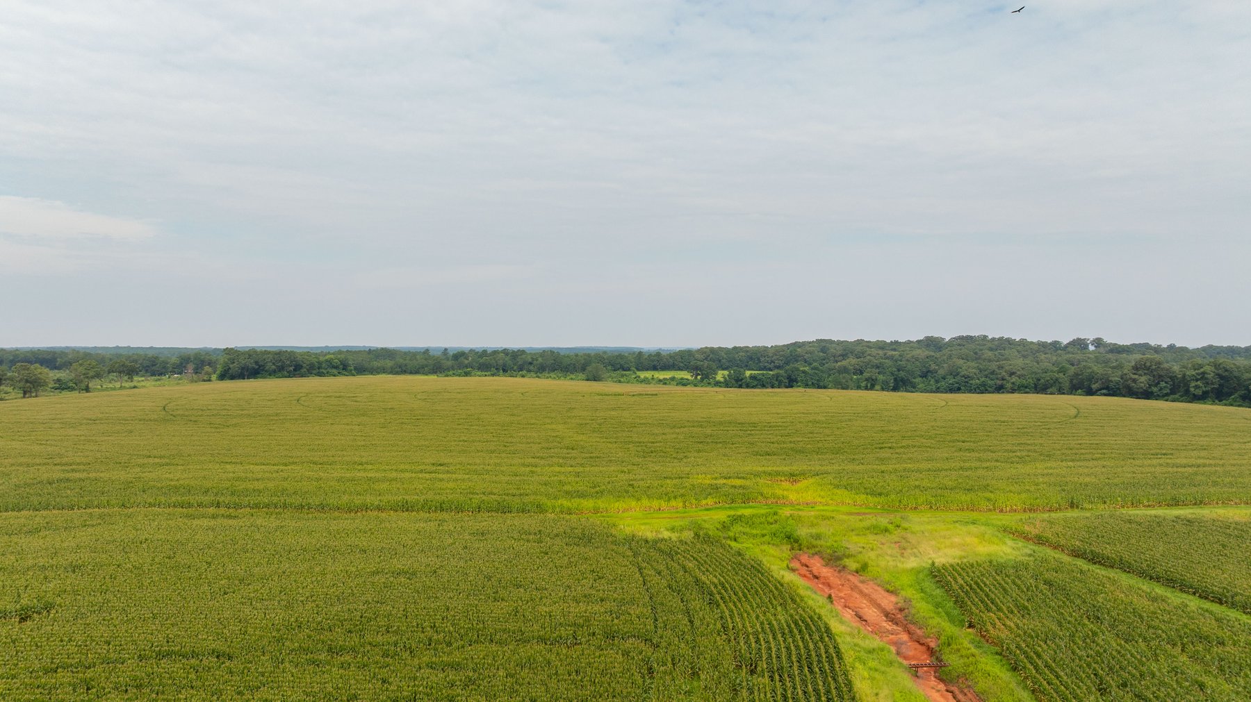 Image for Perryman Place - 305+/- Total Acres - Premium Row Crop Farm - Deep Well & 7 Irrigation Pivots