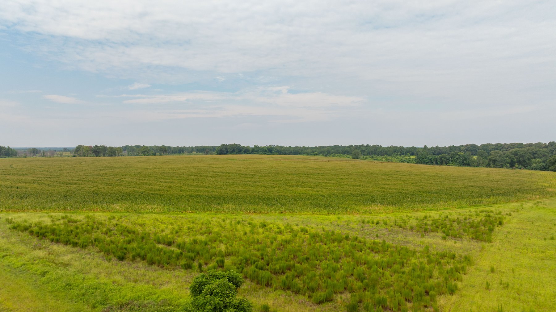 Image for Perryman Place - 305+/- Total Acres - Premium Row Crop Farm - Deep Well & 7 Irrigation Pivots