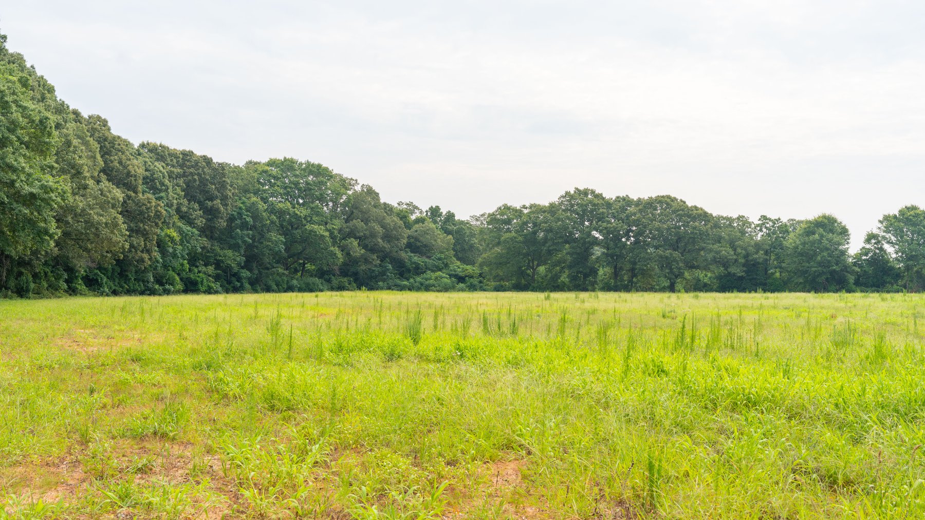 Image for Perryman Place - 305+/- Total Acres - Premium Row Crop Farm - Deep Well & 7 Irrigation Pivots