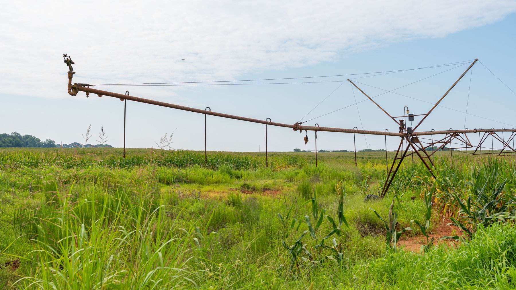 Image for Perryman Place - 305+/- Total Acres - Premium Row Crop Farm - Deep Well & 7 Irrigation Pivots