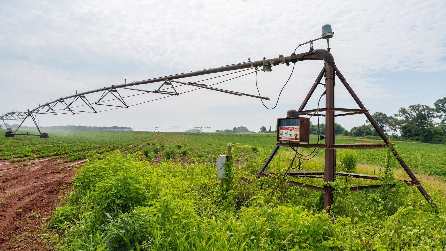 Image for Perryman Place - 305+/- Total Acres - Premium Row Crop Farm - Deep Well & 7 Irrigation Pivots