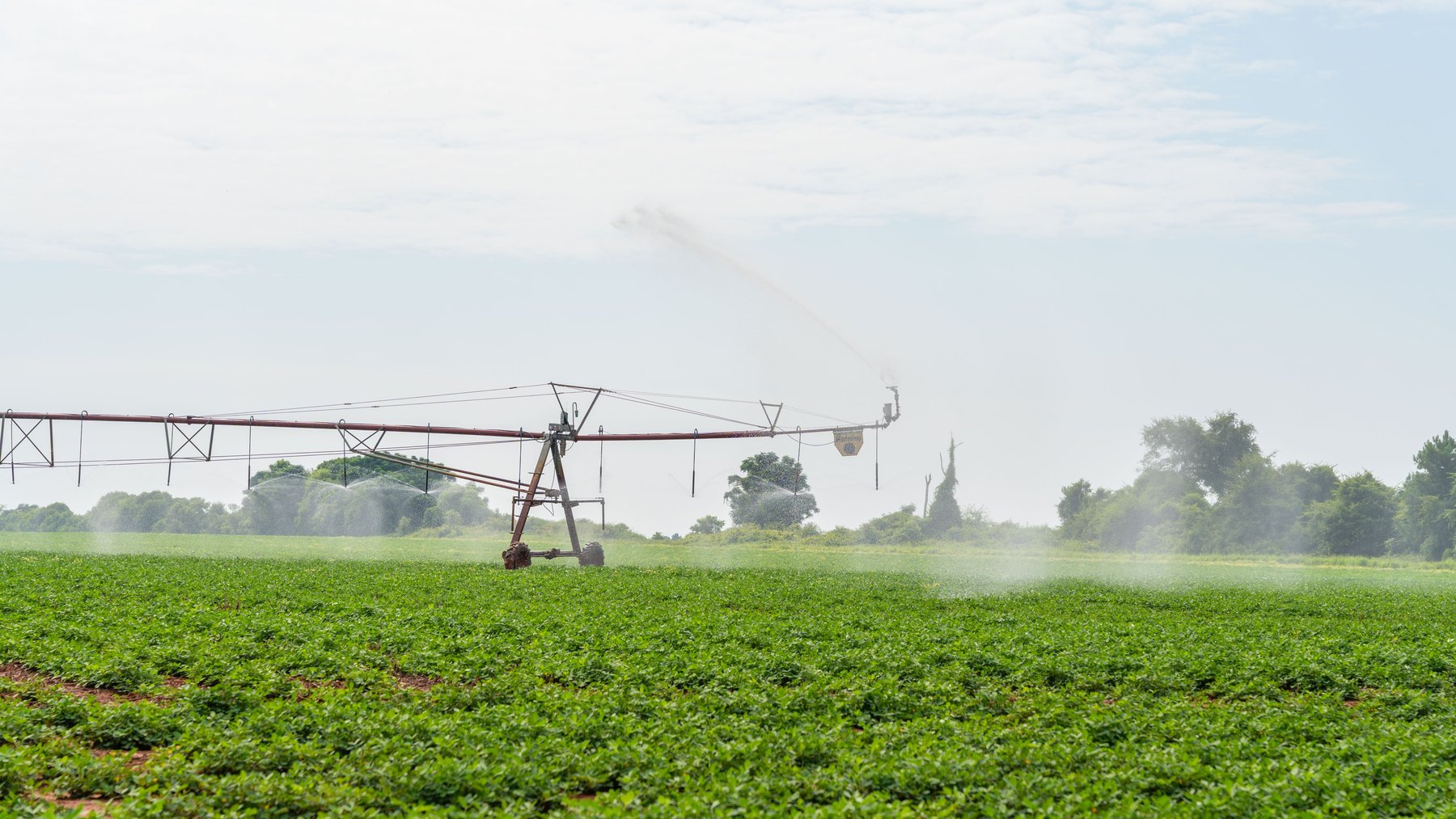 Image for Perryman Place - 305+/- Total Acres - Premium Row Crop Farm - Deep Well & 7 Irrigation Pivots