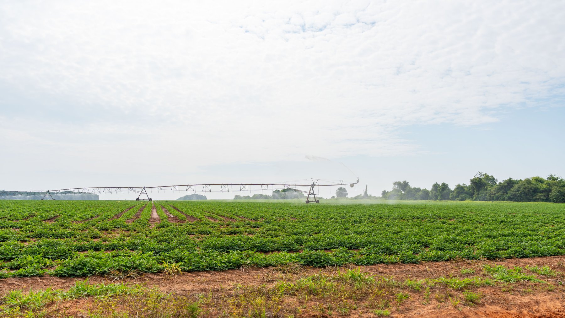 Image for Perryman Place - 305+/- Total Acres - Premium Row Crop Farm - Deep Well & 7 Irrigation Pivots