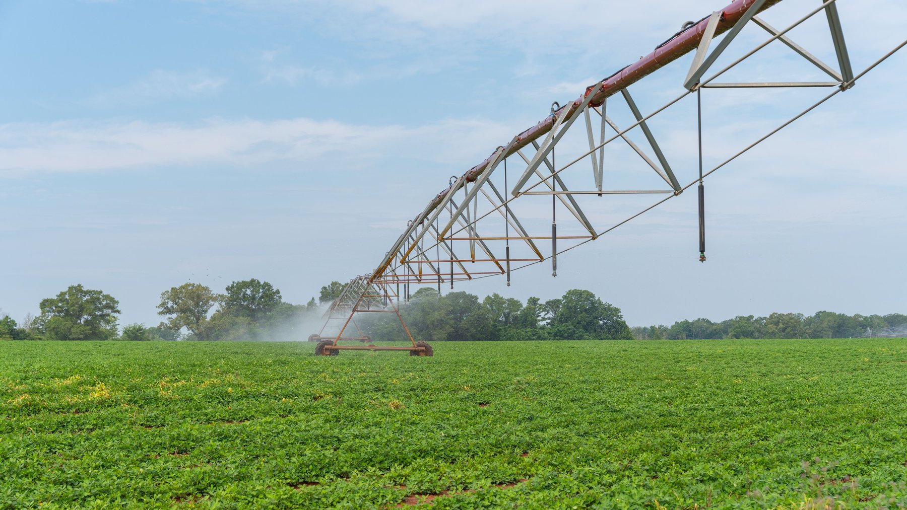 Image for Perryman Place - 305+/- Total Acres - Premium Row Crop Farm - Deep Well & 7 Irrigation Pivots