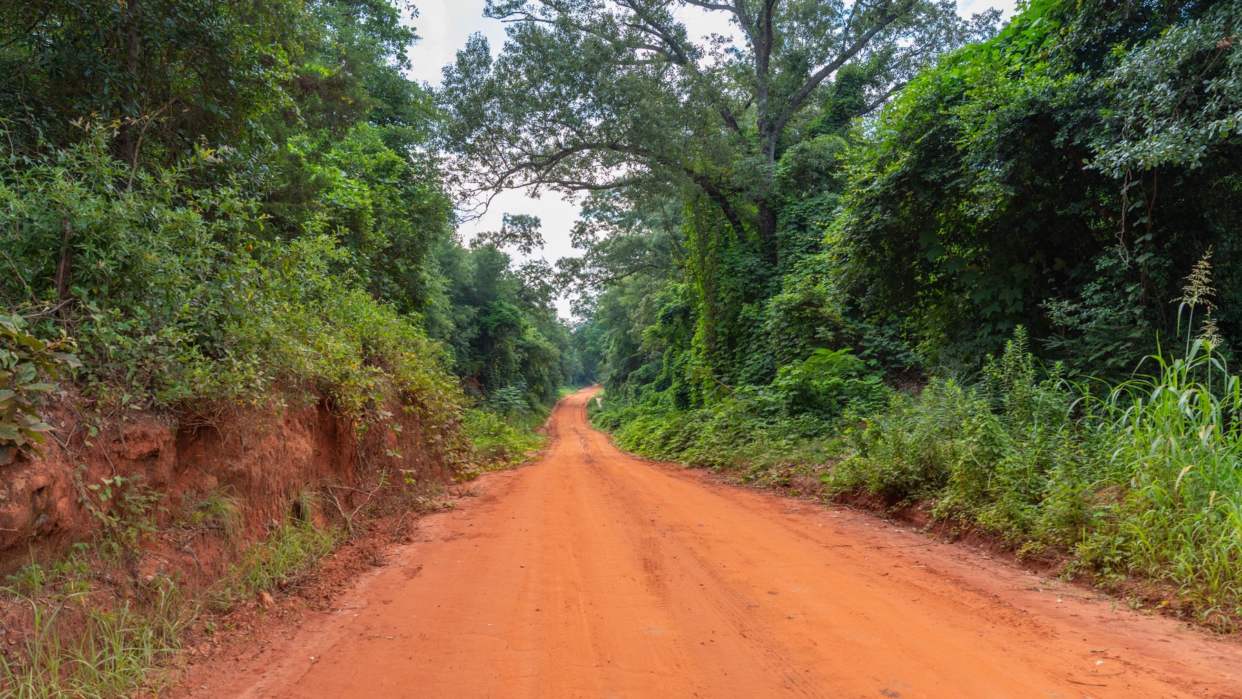 Image for Wright Place - 61+/- Acres - Premium Mini Farm - Merchantable Timber - Great Homesite Potential