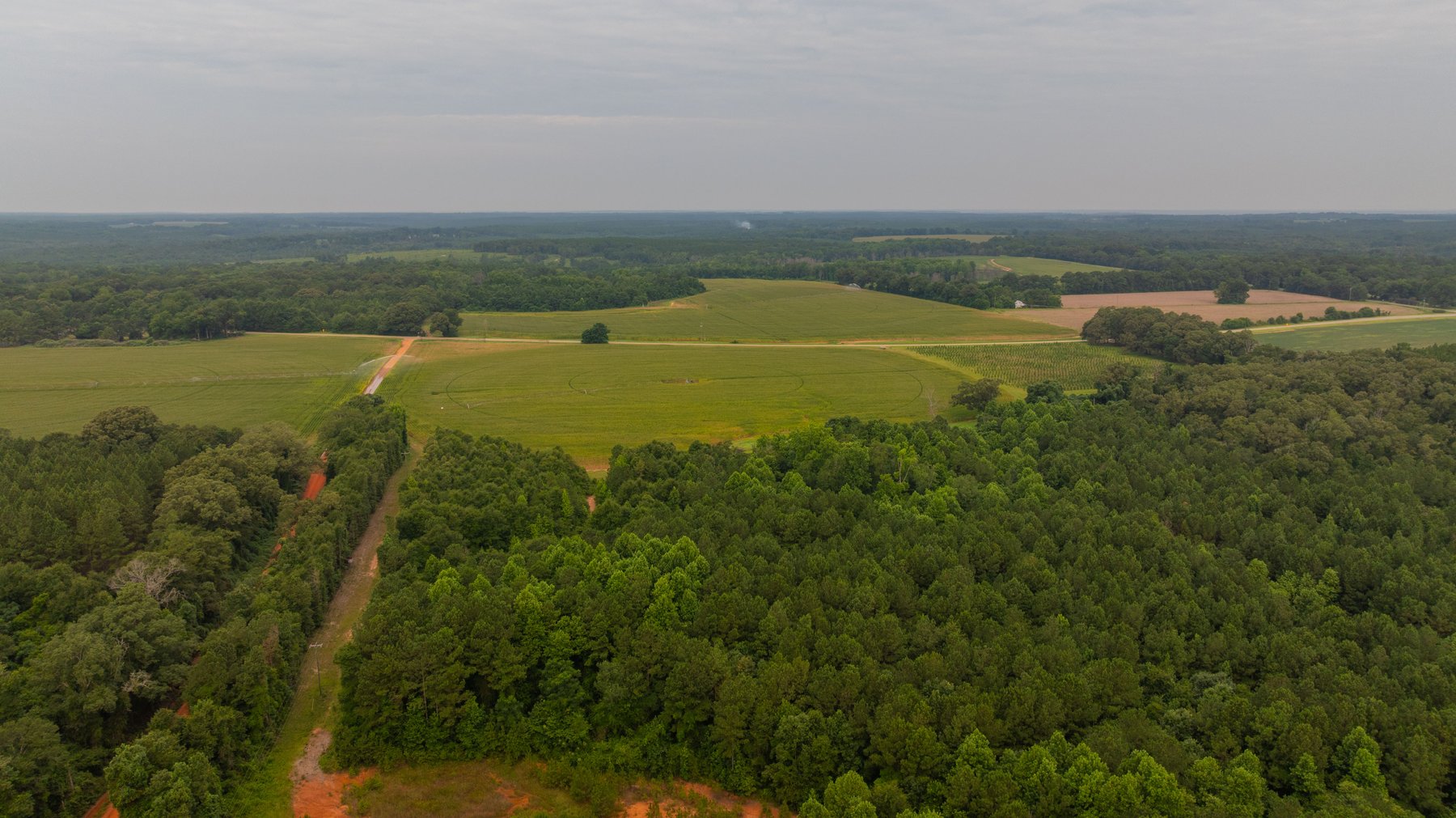 Image for Wright Place - 61+/- Acres - Premium Mini Farm - Merchantable Timber - Great Homesite Potential