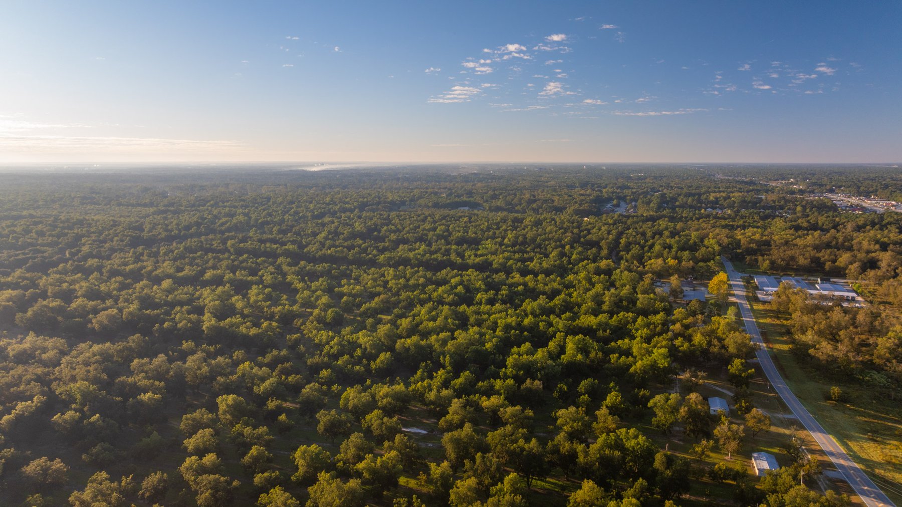 Image for 518+/- Acres - LKC Groves - Turn-Key Pecan Operation - Prime Development Potential - Offered Divided & As A Whole