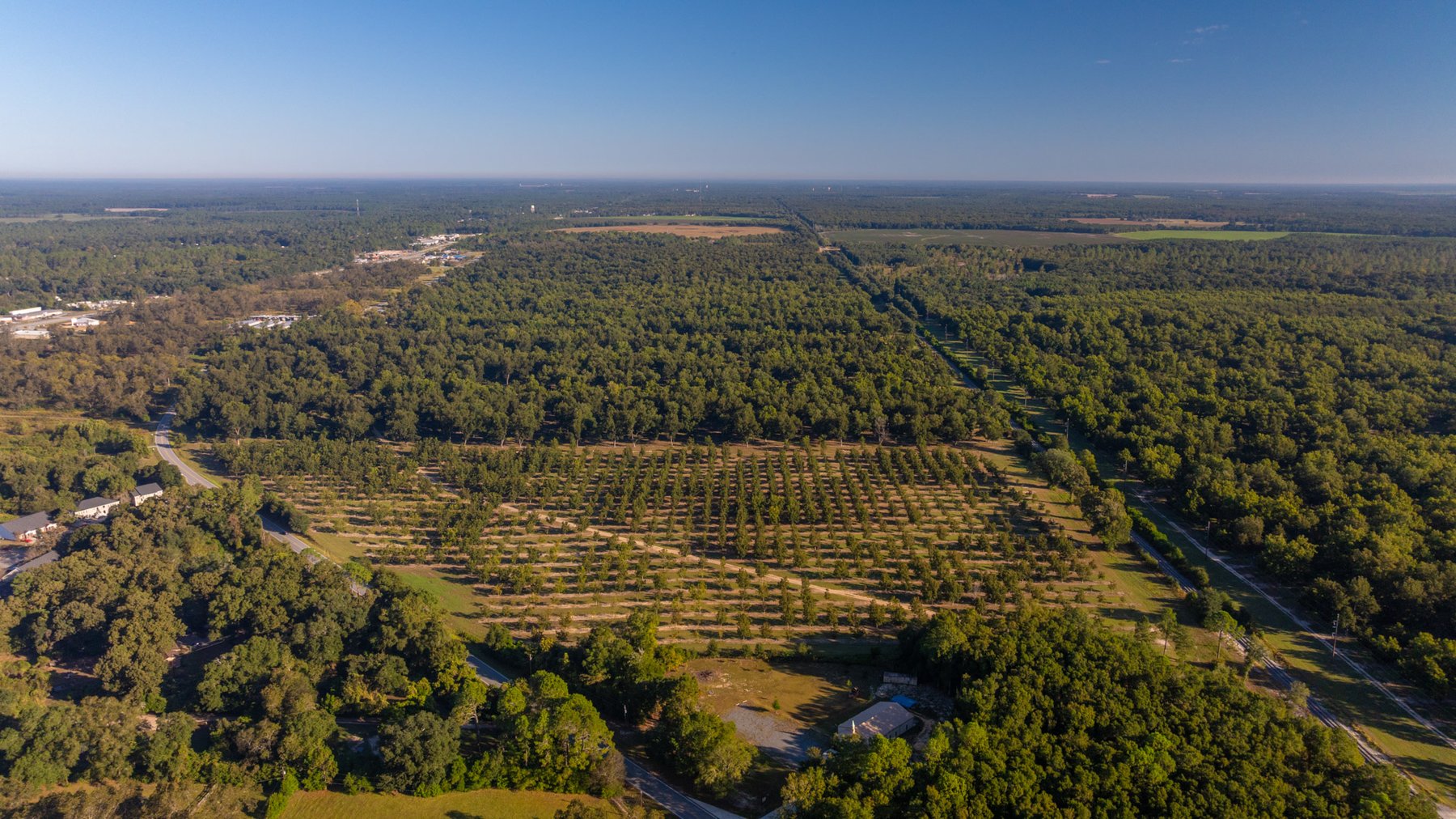 Image for 518+/- Acres - LKC Groves - Turn-Key Pecan Operation - Prime Development Potential - Offered Divided & As A Whole