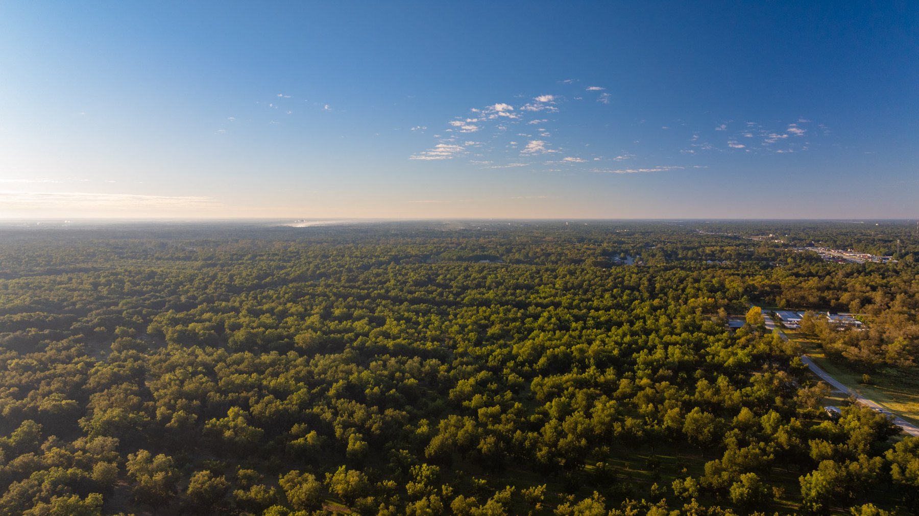 Image for 518+/- Acres - LKC Groves - Turn-Key Pecan Operation - Prime Development Potential - Offered Divided & As A Whole