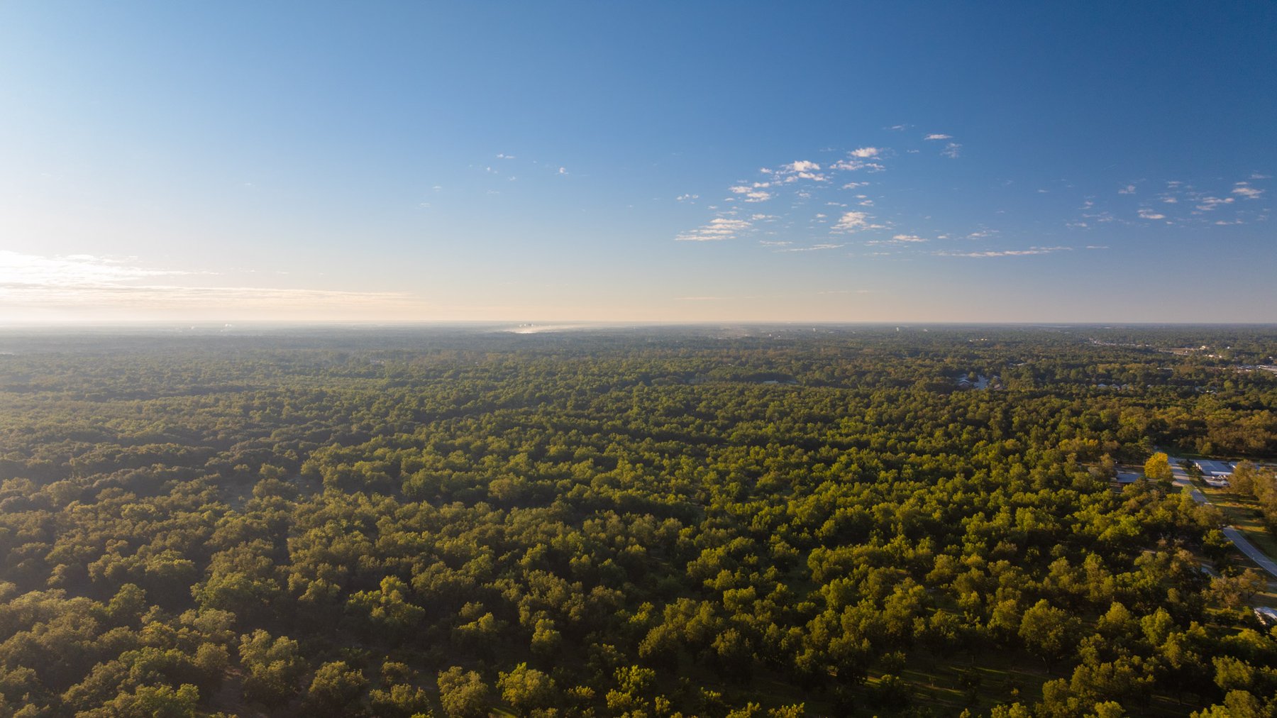 Image for 518+/- Acres - LKC Groves - Turn-Key Pecan Operation - Prime Development Potential - Offered Divided & As A Whole