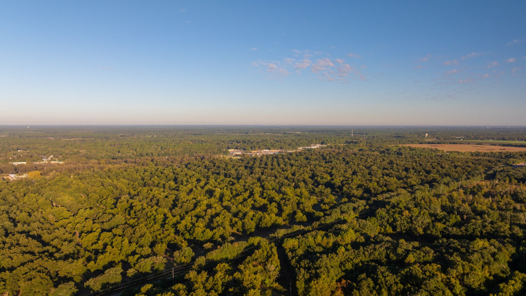 Image for 518+/- Acres - LKC Groves - Turn-Key Pecan Operation - Prime Development Potential - Offered Divided & As A Whole