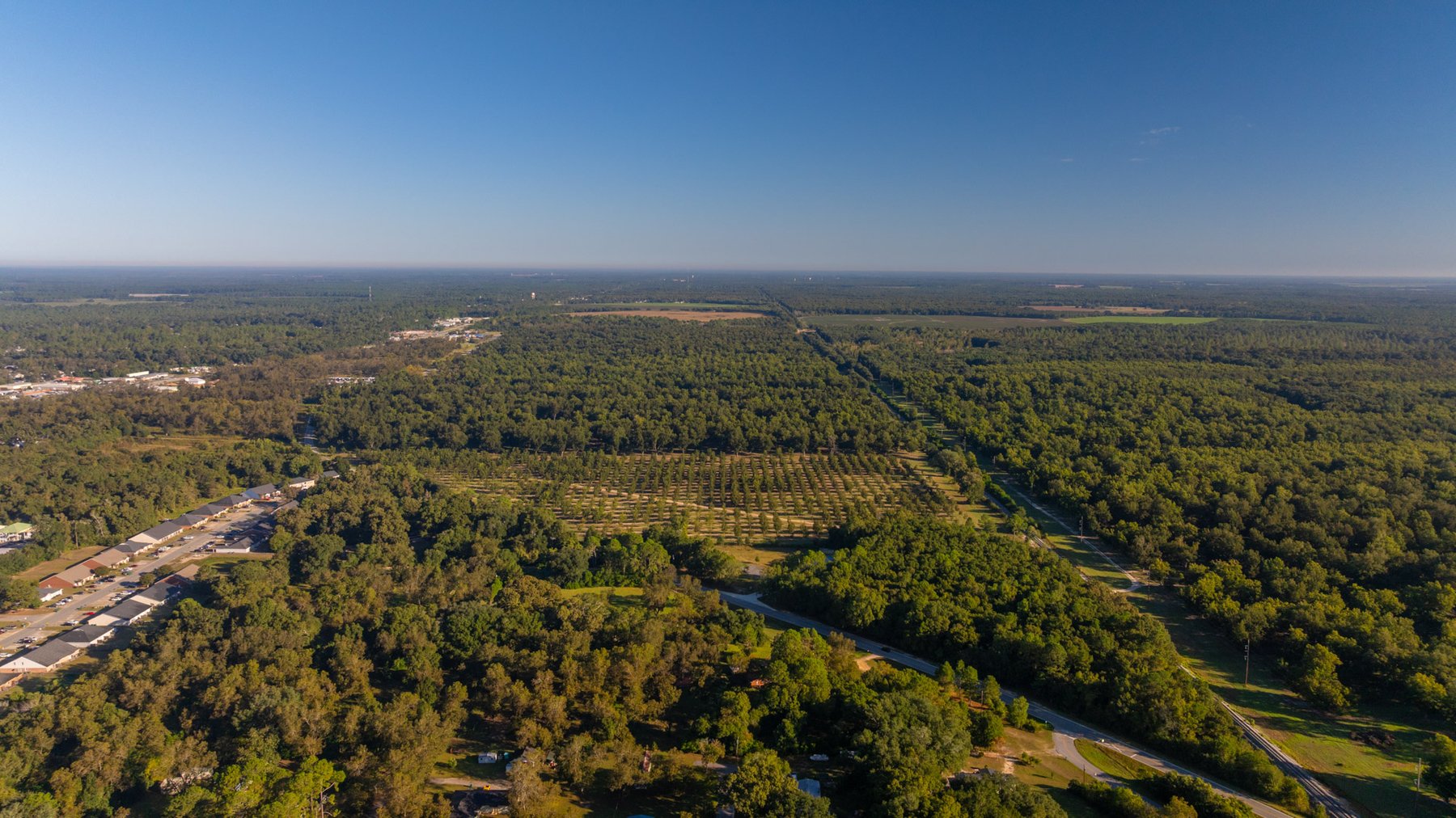 Image for 518+/- Acres - LKC Groves - Turn-Key Pecan Operation - Prime Development Potential - Offered Divided & As A Whole