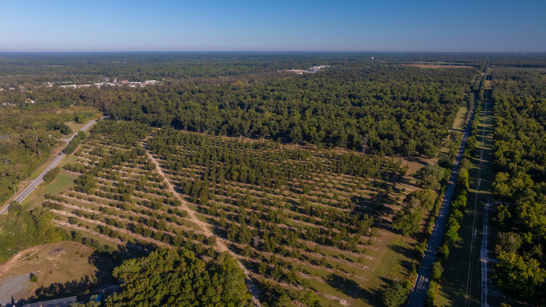 Image for 518+/- Acres - LKC Groves - Turn-Key Pecan Operation - Prime Development Potential - Offered Divided & As A Whole