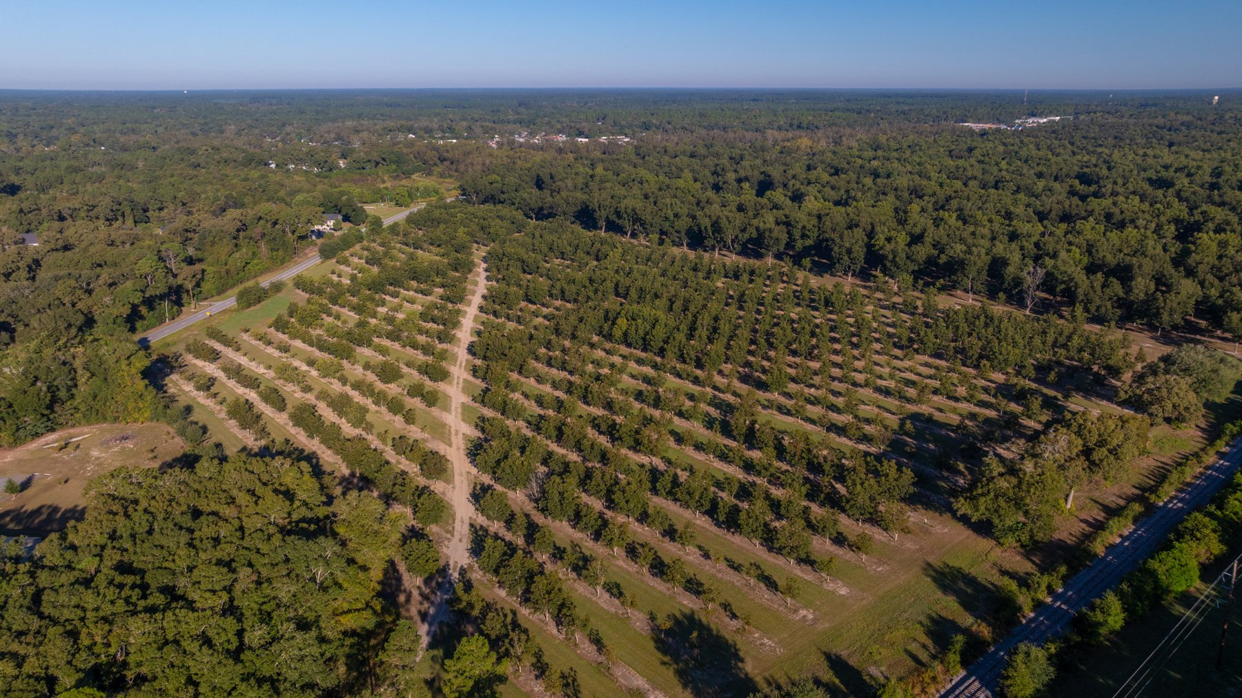 Image for 518+/- Acres - LKC Groves - Turn-Key Pecan Operation - Prime Development Potential - Offered Divided & As A Whole