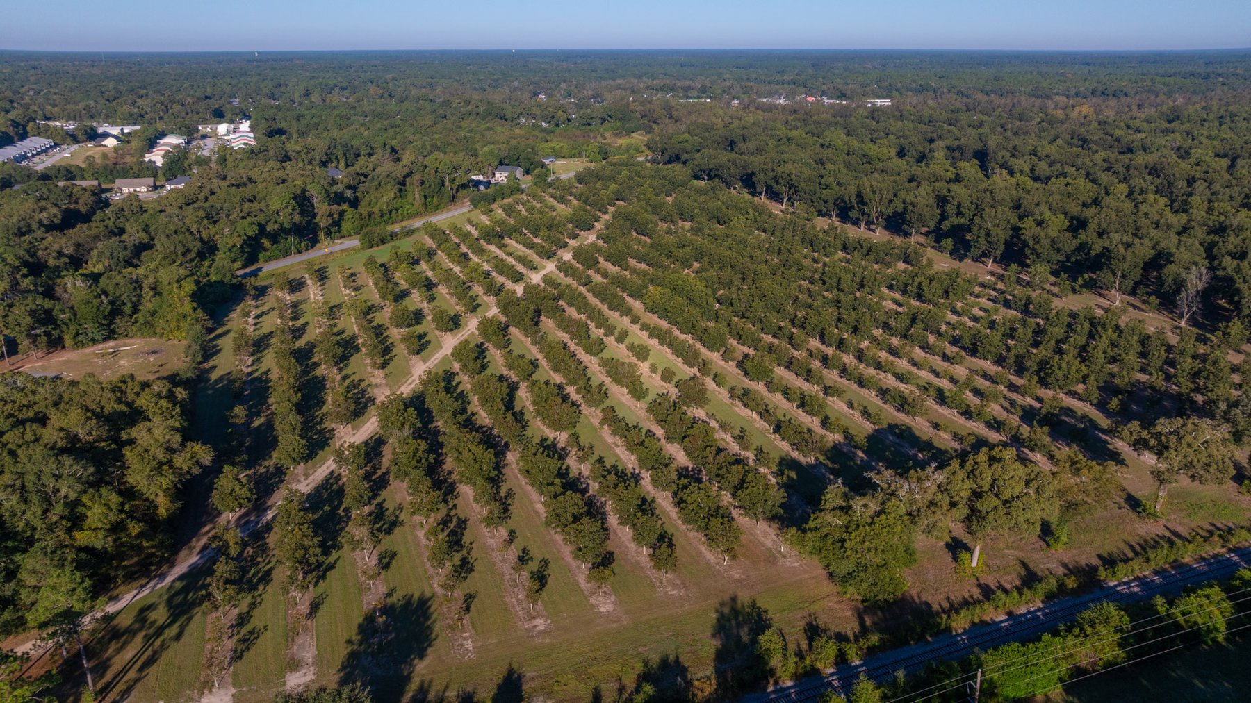 Image for 518+/- Acres - LKC Groves - Turn-Key Pecan Operation - Prime Development Potential - Offered Divided & As A Whole
