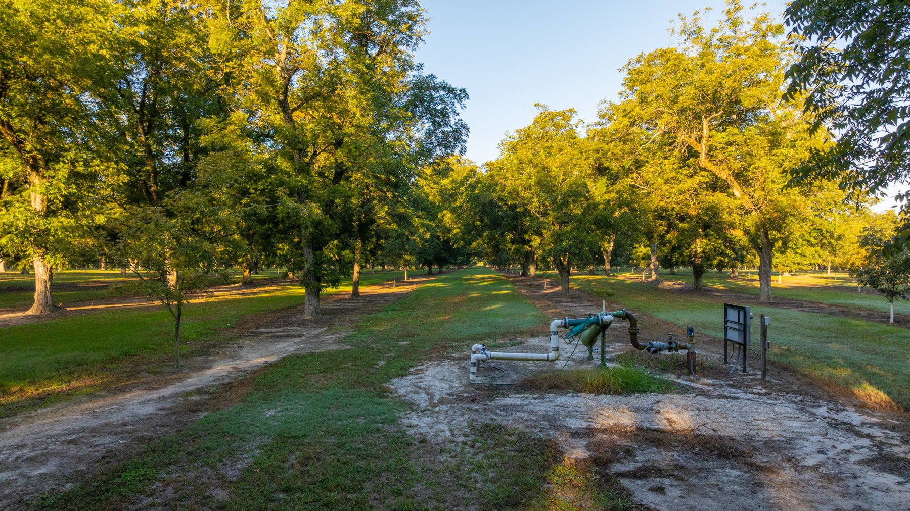 Image for 518+/- Acres - LKC Groves - Turn-Key Pecan Operation - Prime Development Potential - Offered Divided & As A Whole