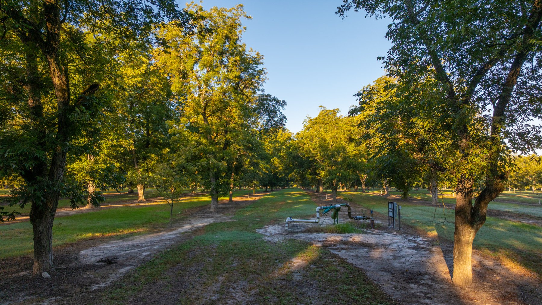Image for 518+/- Acres - LKC Groves - Turn-Key Pecan Operation - Prime Development Potential - Offered Divided & As A Whole
