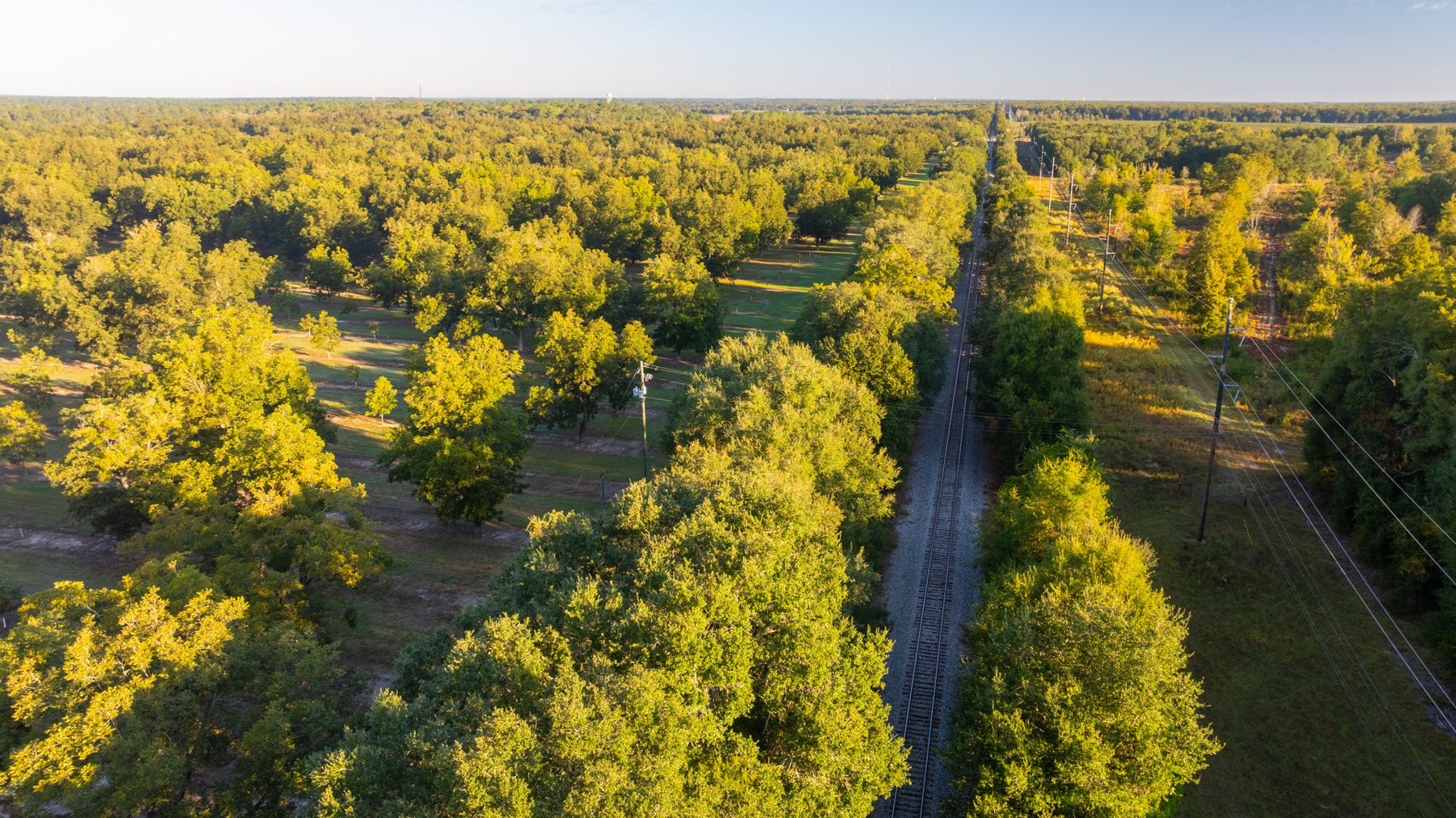 Image for 518+/- Acres - LKC Groves - Turn-Key Pecan Operation - Prime Development Potential - Offered Divided & As A Whole