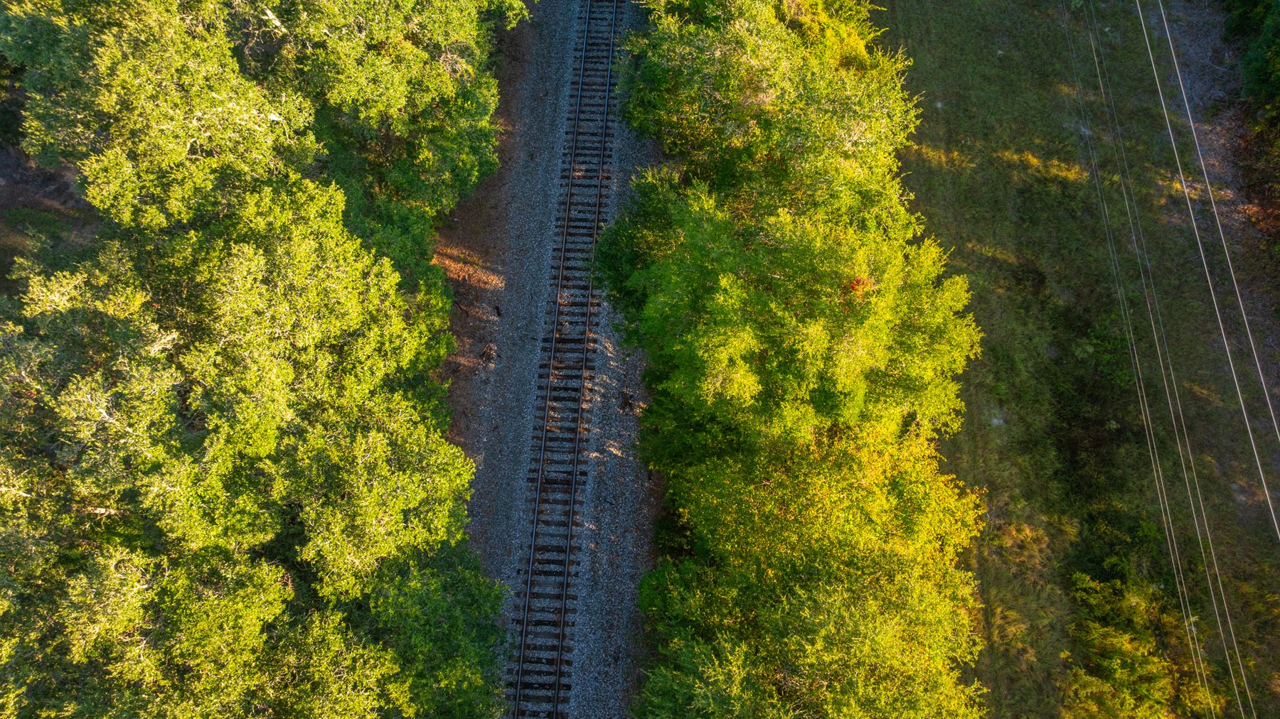 Image for 518+/- Acres - LKC Groves - Turn-Key Pecan Operation - Prime Development Potential - Offered Divided & As A Whole