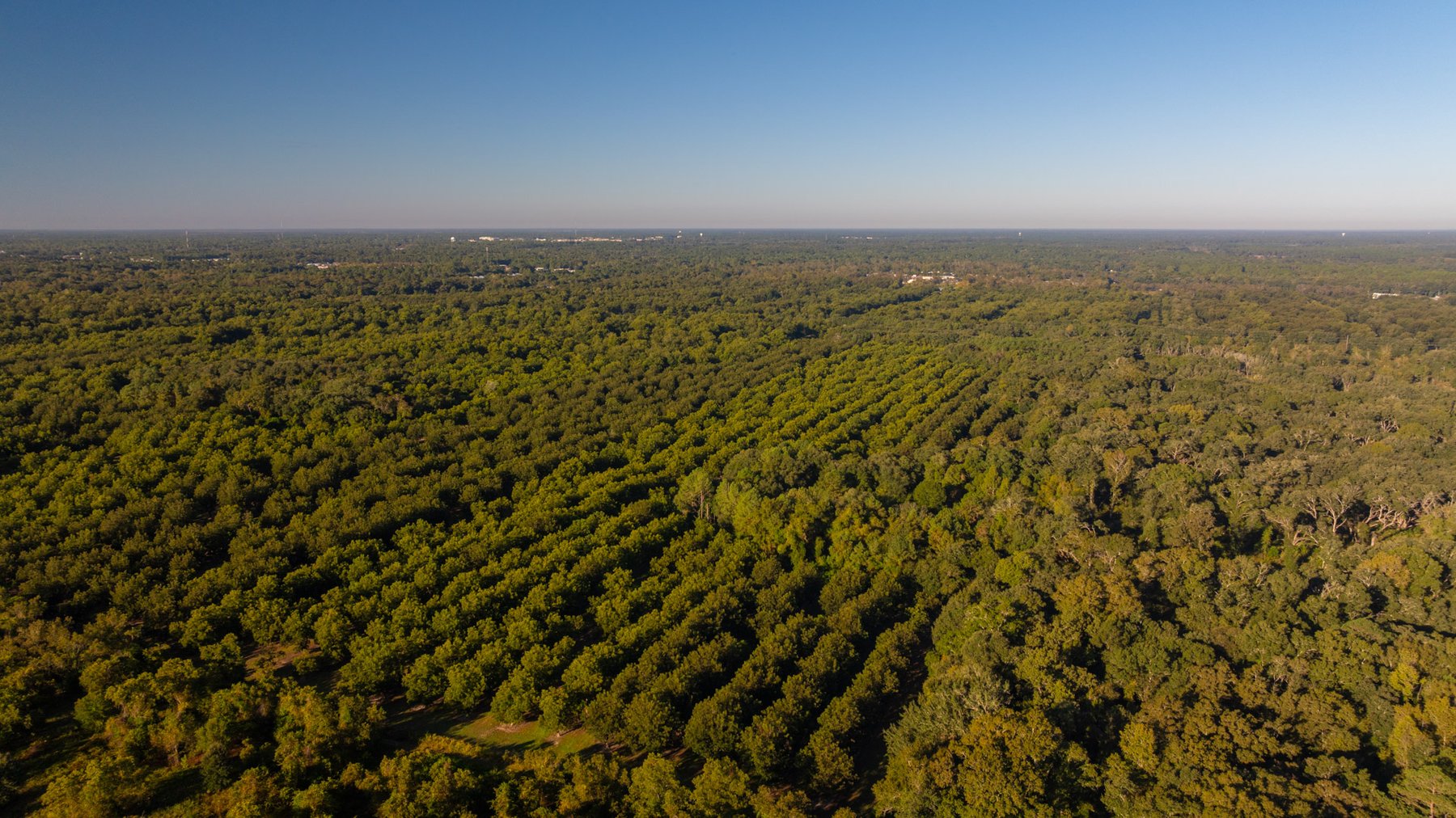 Image for 518+/- Acres - LKC Groves - Turn-Key Pecan Operation - Prime Development Potential - Offered Divided & As A Whole