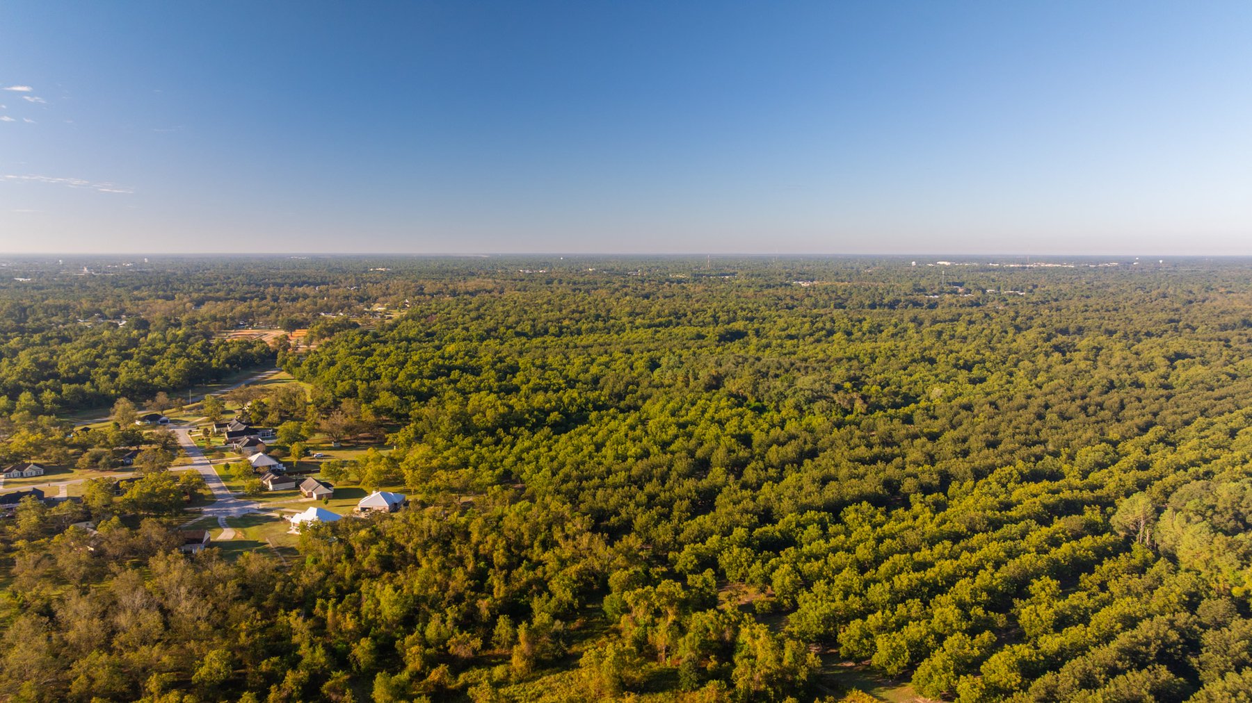 Image for 518+/- Acres - LKC Groves - Turn-Key Pecan Operation - Prime Development Potential - Offered Divided & As A Whole