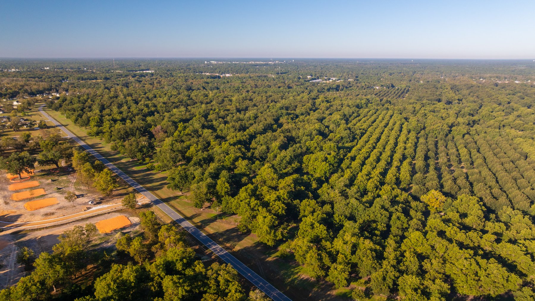 Image for 518+/- Acres - LKC Groves - Turn-Key Pecan Operation - Prime Development Potential - Offered Divided & As A Whole
