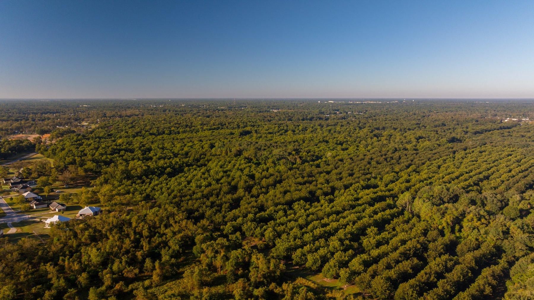 Image for 518+/- Acres - LKC Groves - Turn-Key Pecan Operation - Prime Development Potential - Offered Divided & As A Whole