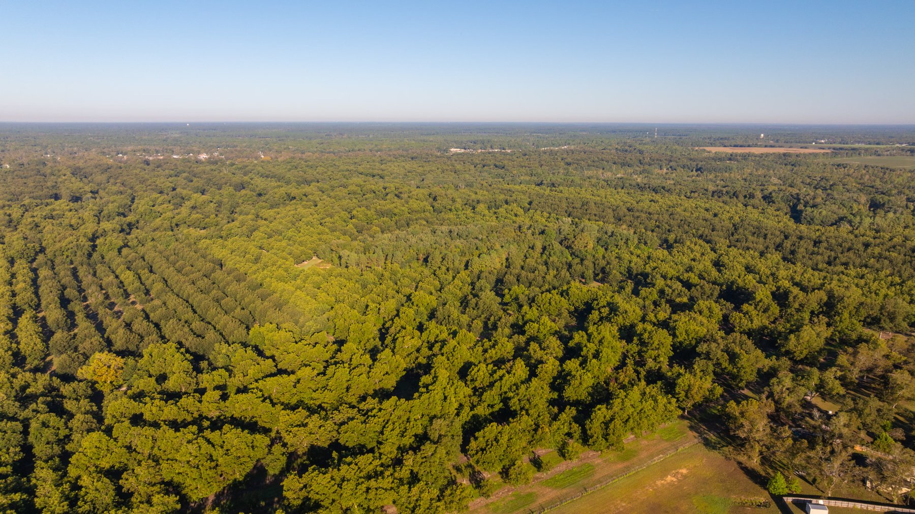 Image for 518+/- Acres - LKC Groves - Turn-Key Pecan Operation - Prime Development Potential - Offered Divided & As A Whole