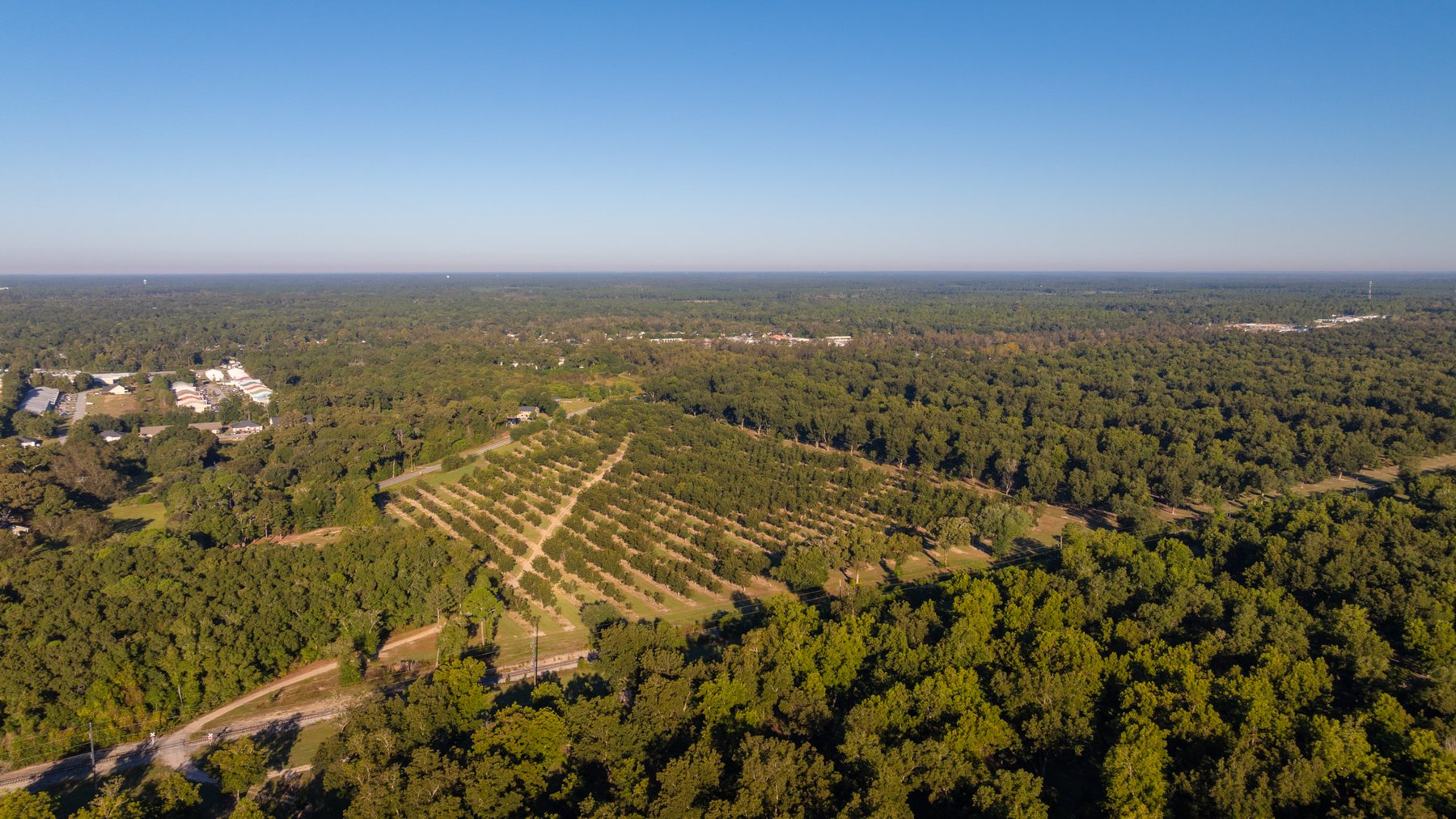 Image for 518+/- Acres - LKC Groves - Turn-Key Pecan Operation - Prime Development Potential - Offered Divided & As A Whole