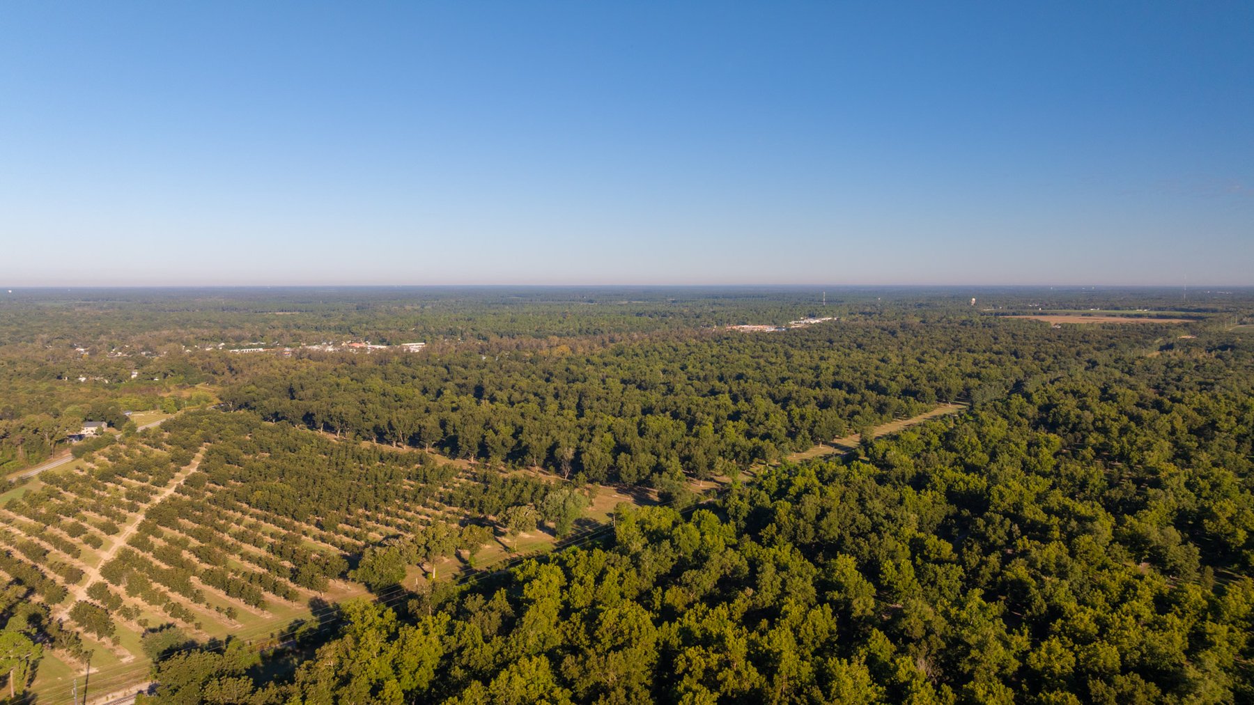 Image for 518+/- Acres - LKC Groves - Turn-Key Pecan Operation - Prime Development Potential - Offered Divided & As A Whole