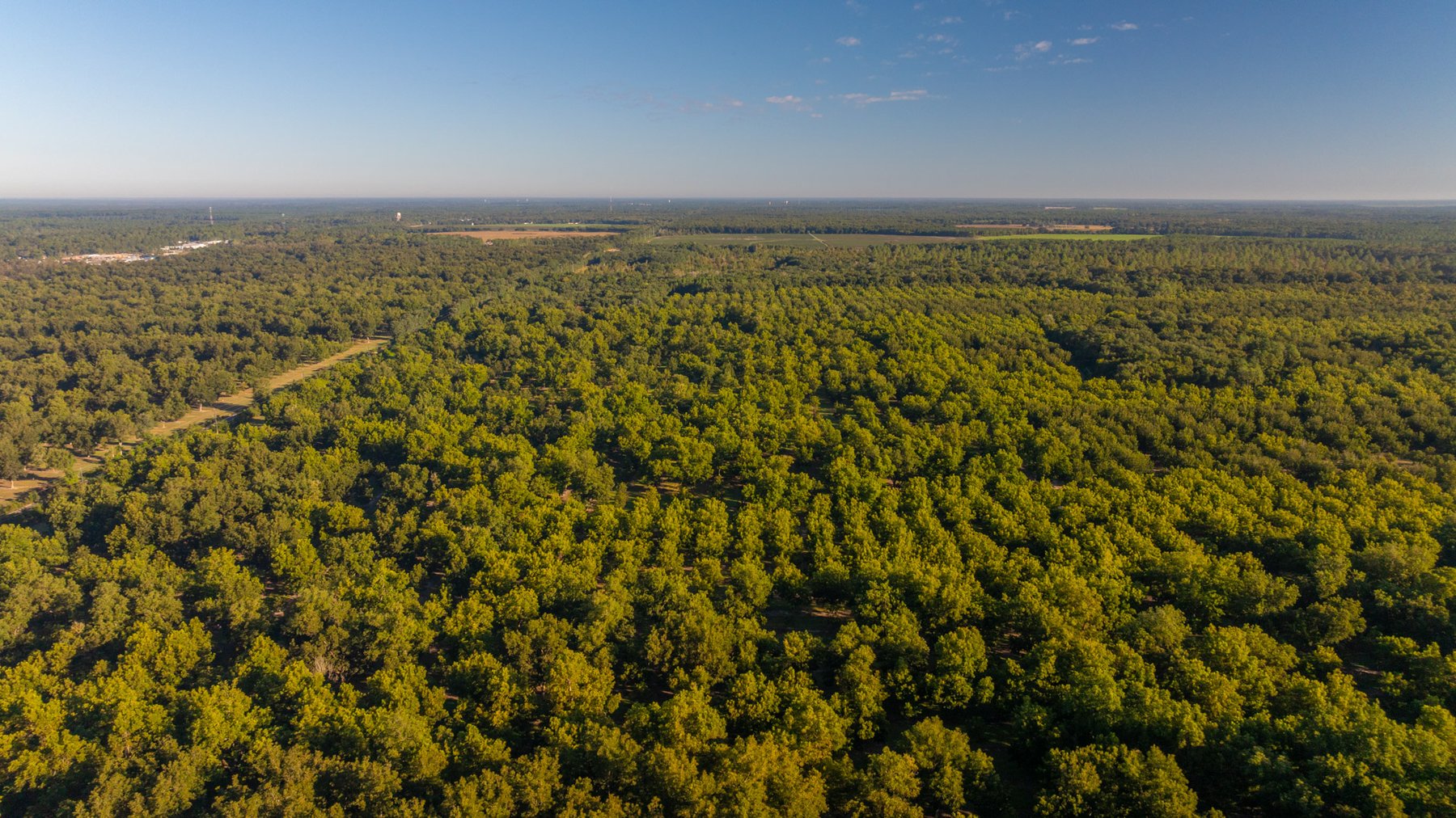 Image for 518+/- Acres - LKC Groves - Turn-Key Pecan Operation - Prime Development Potential - Offered Divided & As A Whole