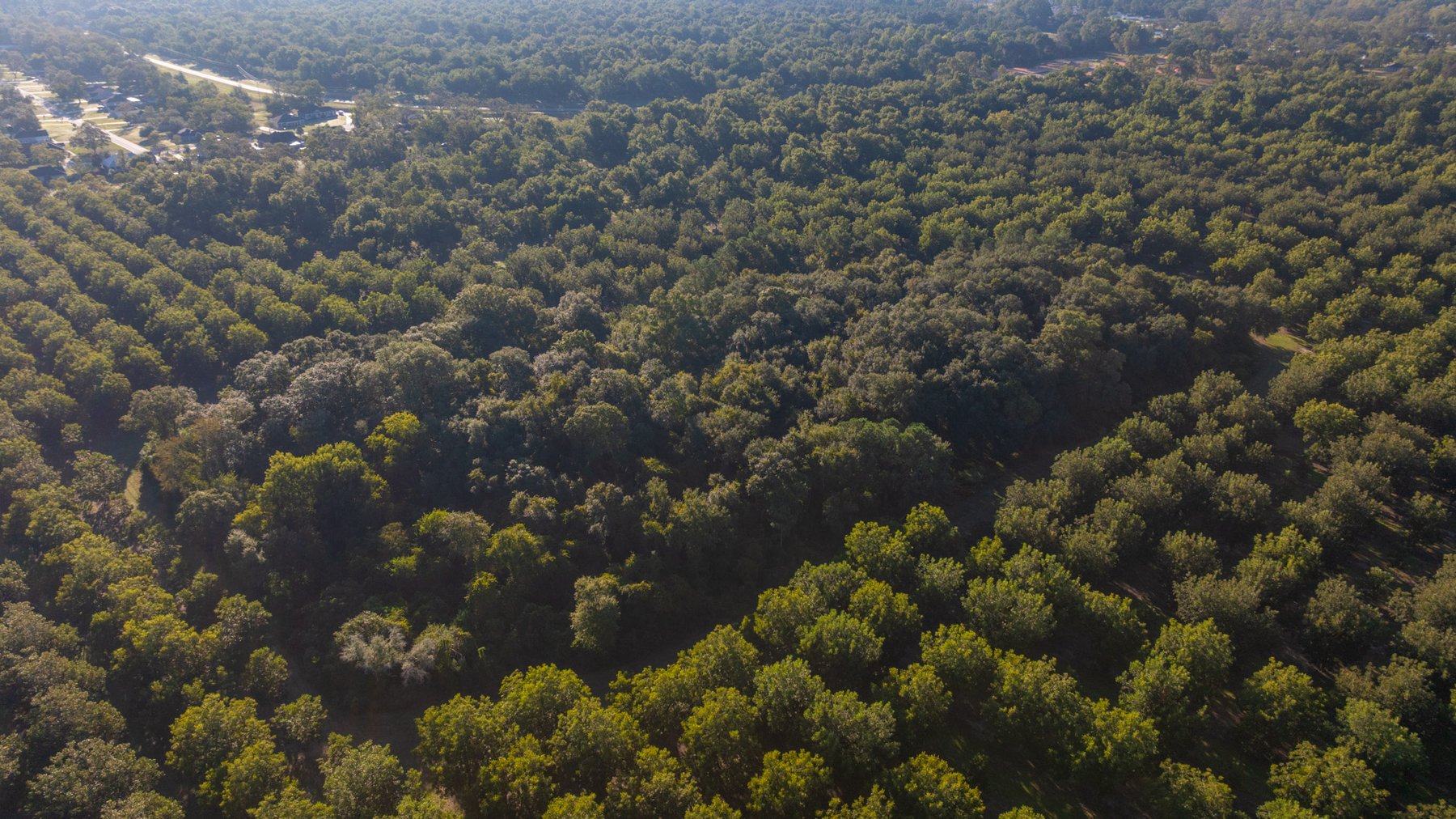 Image for 518+/- Acres - LKC Groves - Turn-Key Pecan Operation - Prime Development Potential - Offered Divided & As A Whole