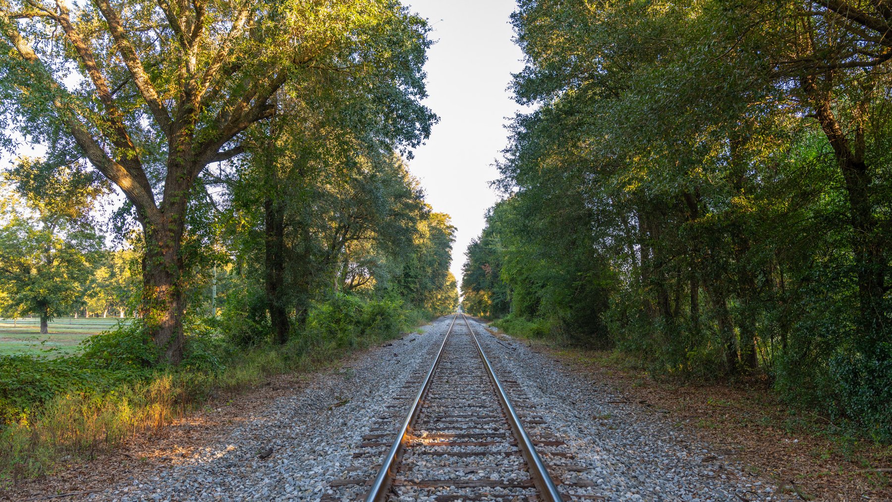 Image for 518+/- Acres - LKC Groves - Turn-Key Pecan Operation - Prime Development Potential - Offered Divided & As A Whole
