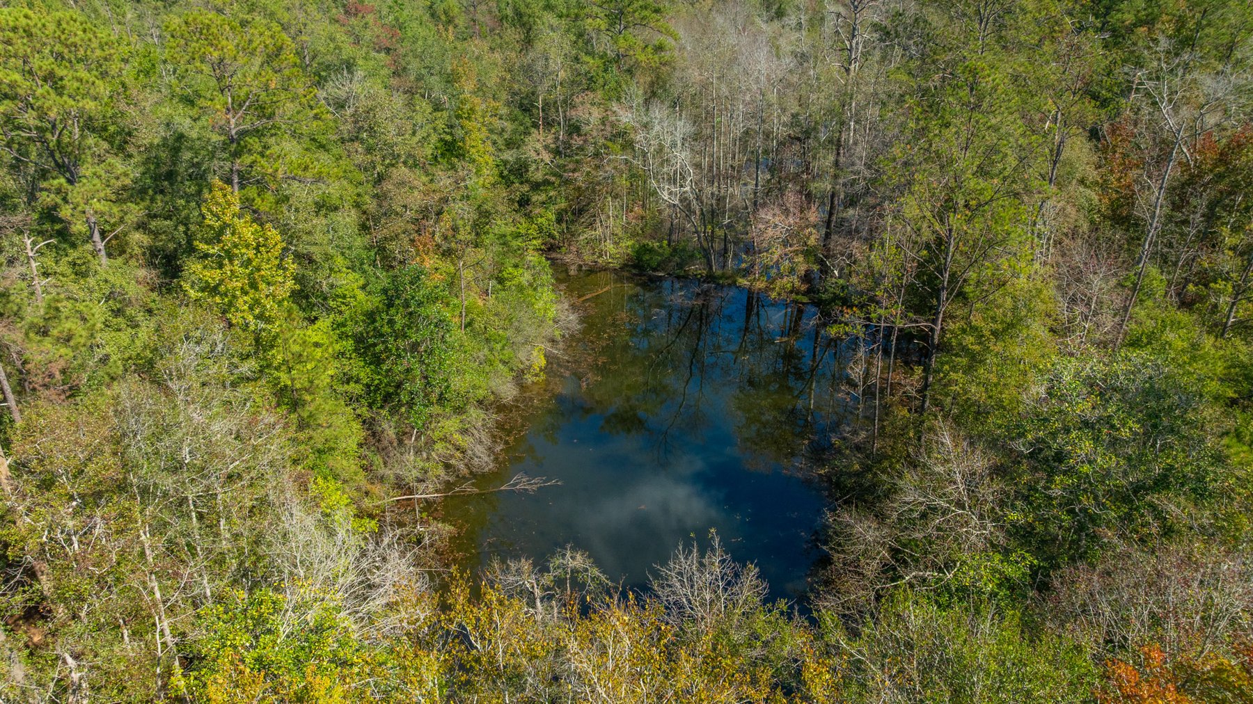 Image for Simpson 154 Land Auction - 154+/- Total Acres - 3 Tracts - Planted Pines & Premium Hunting - Offered Divided & As A Whole