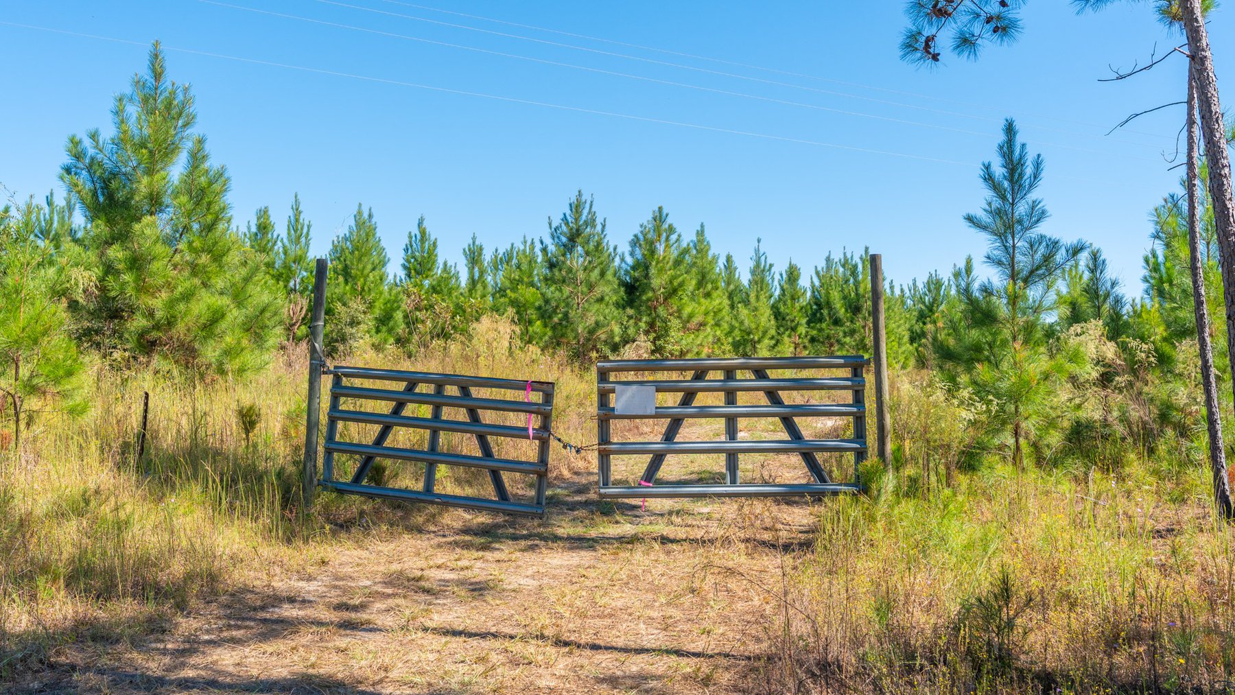 Image for Simpson 154 Land Auction - 154+/- Total Acres - 3 Tracts - Planted Pines & Premium Hunting - Offered Divided & As A Whole