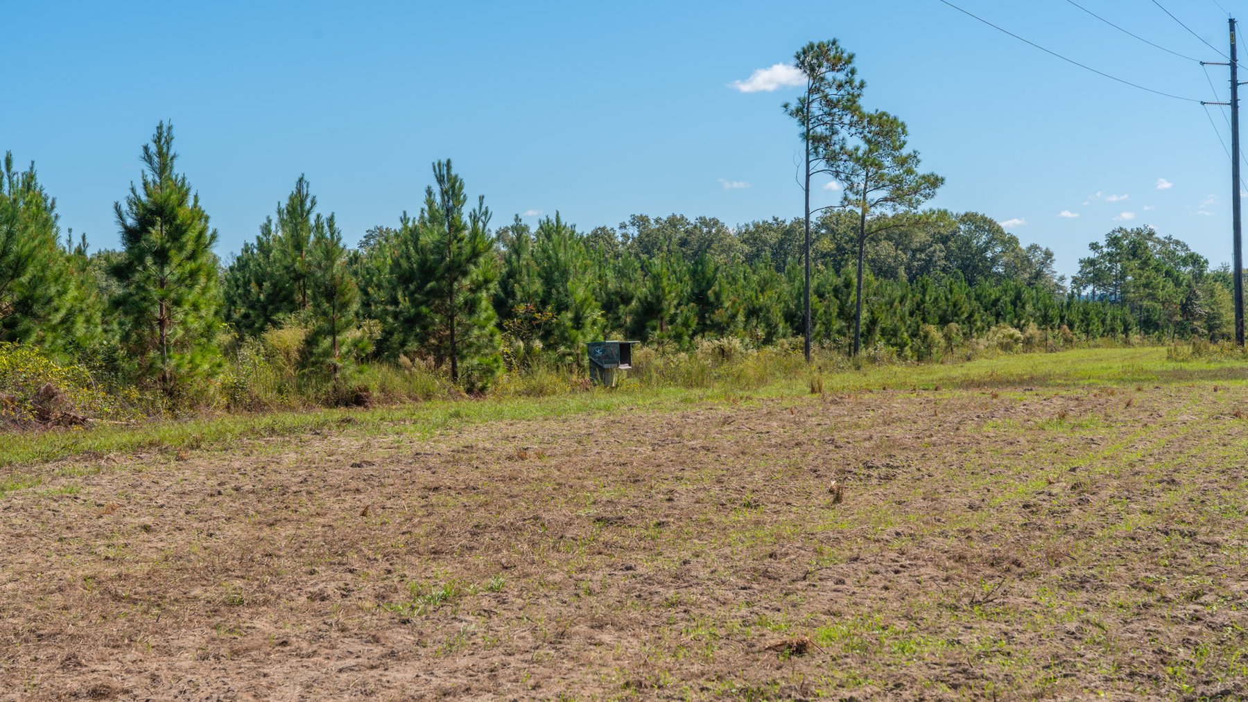 Image for Simpson 154 Land Auction - 154+/- Total Acres - 3 Tracts - Planted Pines & Premium Hunting - Offered Divided & As A Whole