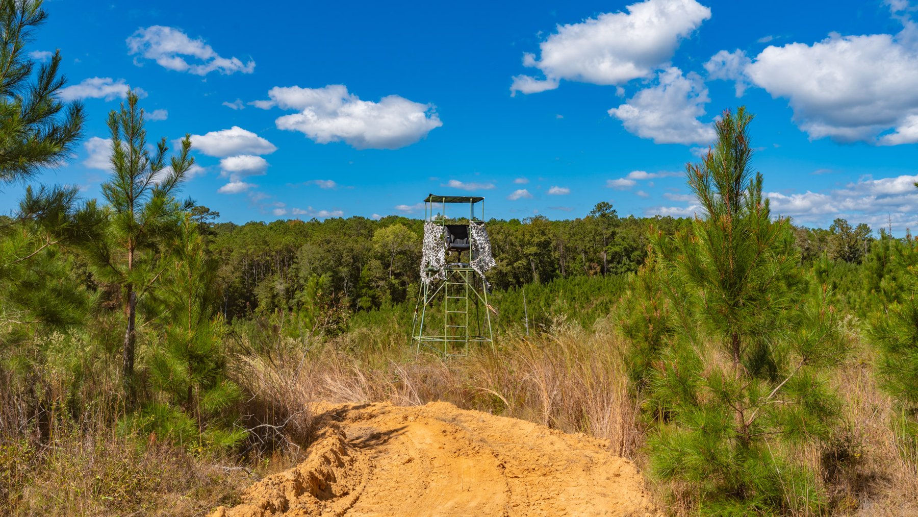 Image for Simpson 154 Land Auction - 154+/- Total Acres - 3 Tracts - Planted Pines & Premium Hunting - Offered Divided & As A Whole