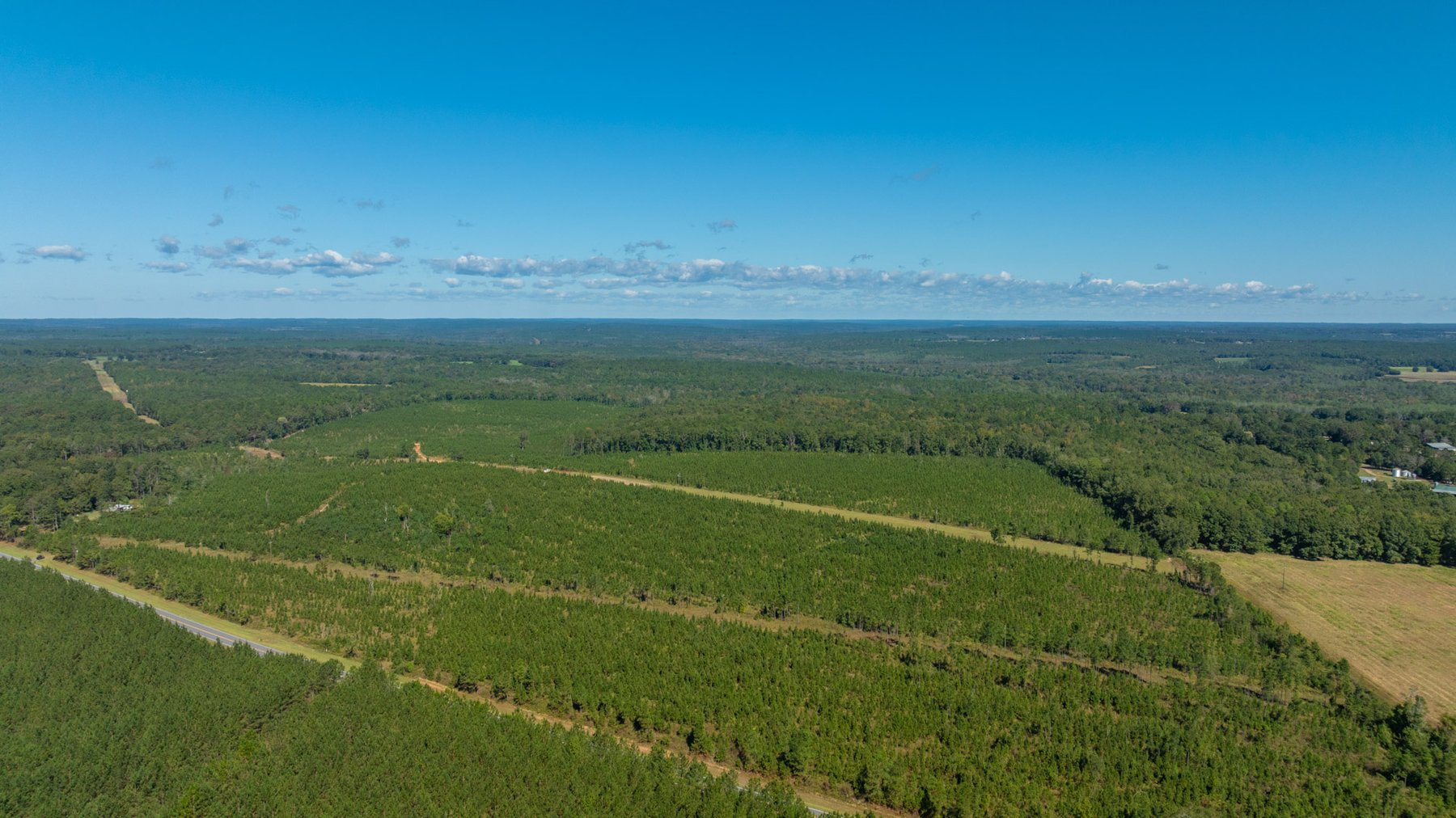 Image for Simpson 154 Land Auction - 154+/- Total Acres - 3 Tracts - Planted Pines & Premium Hunting - Offered Divided & As A Whole